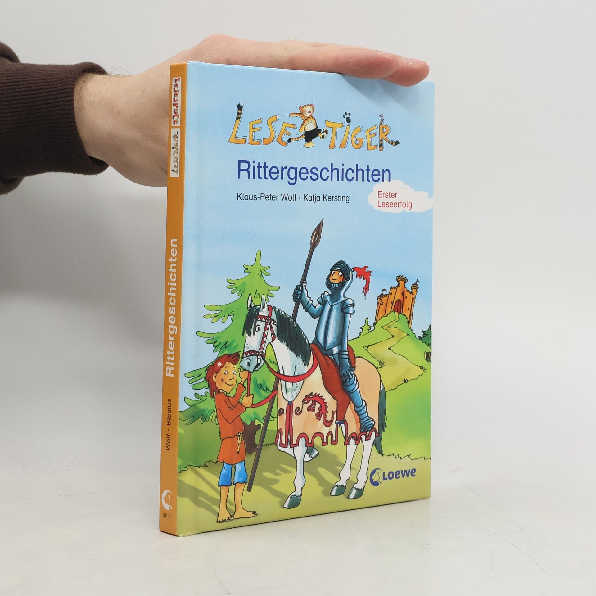 Lesetiger-Rittergeschichten / Ritterburg in Gefahr