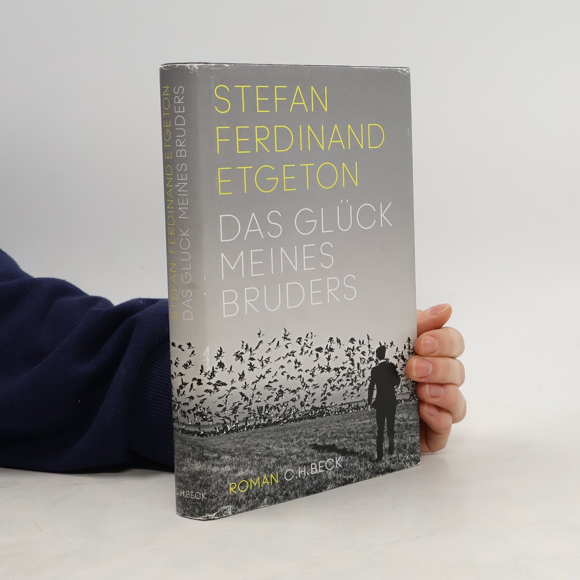 Stefan Ferdinand Etgeton Das Glück meines Bruders