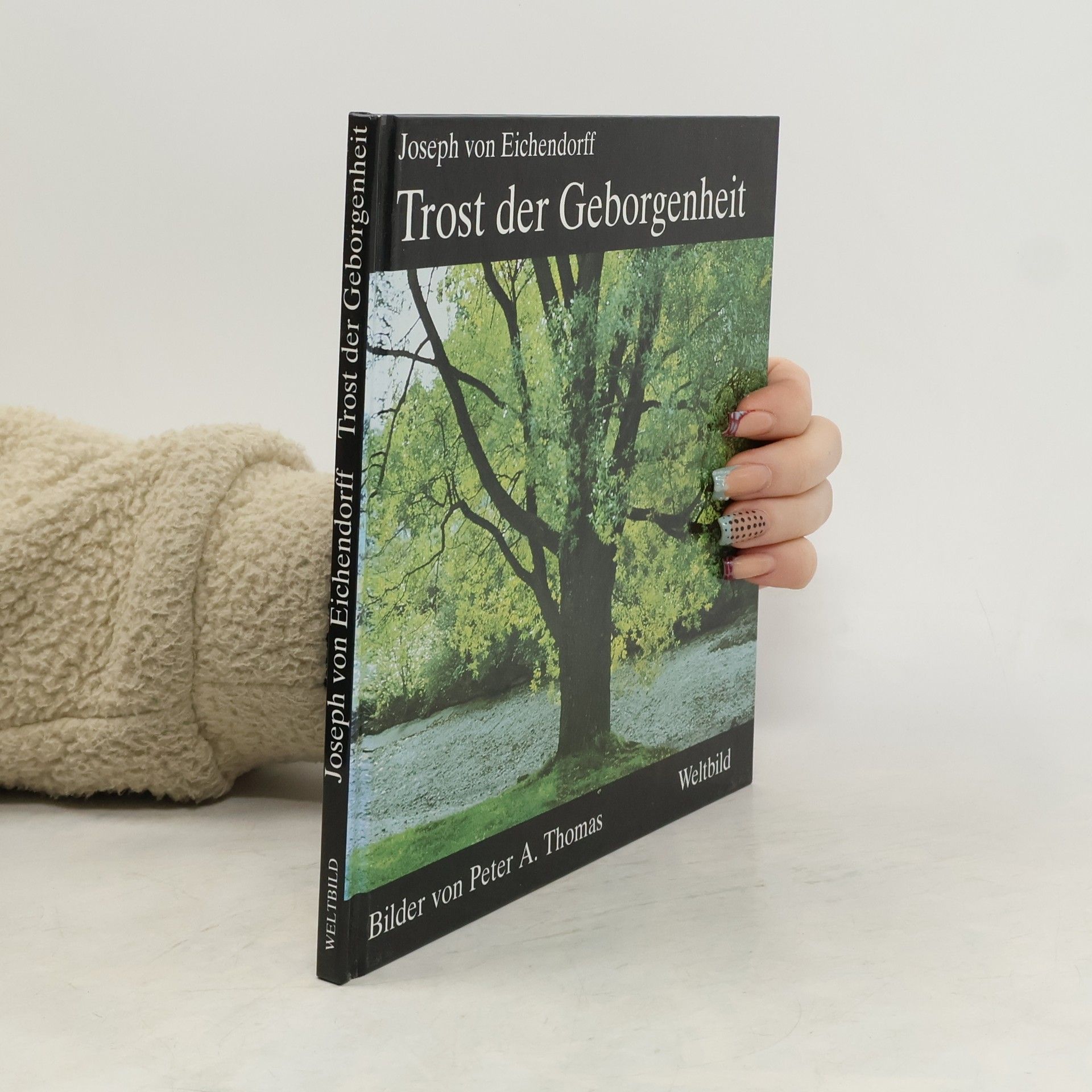 Peter A. Thomas Das Gute wacht in uns