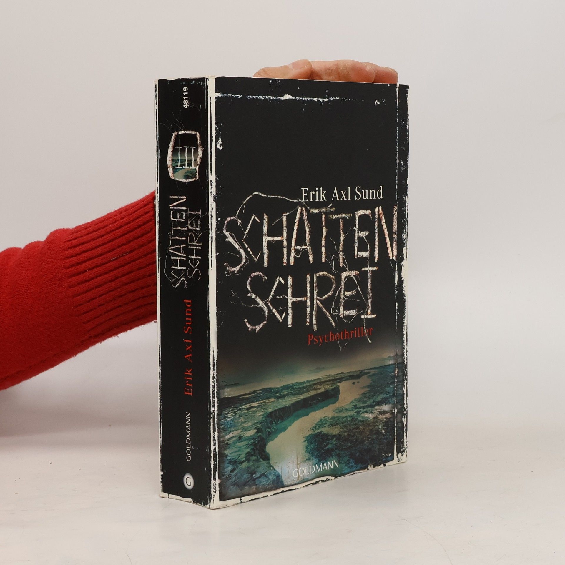 Erik Axl Sund Schattenschrei