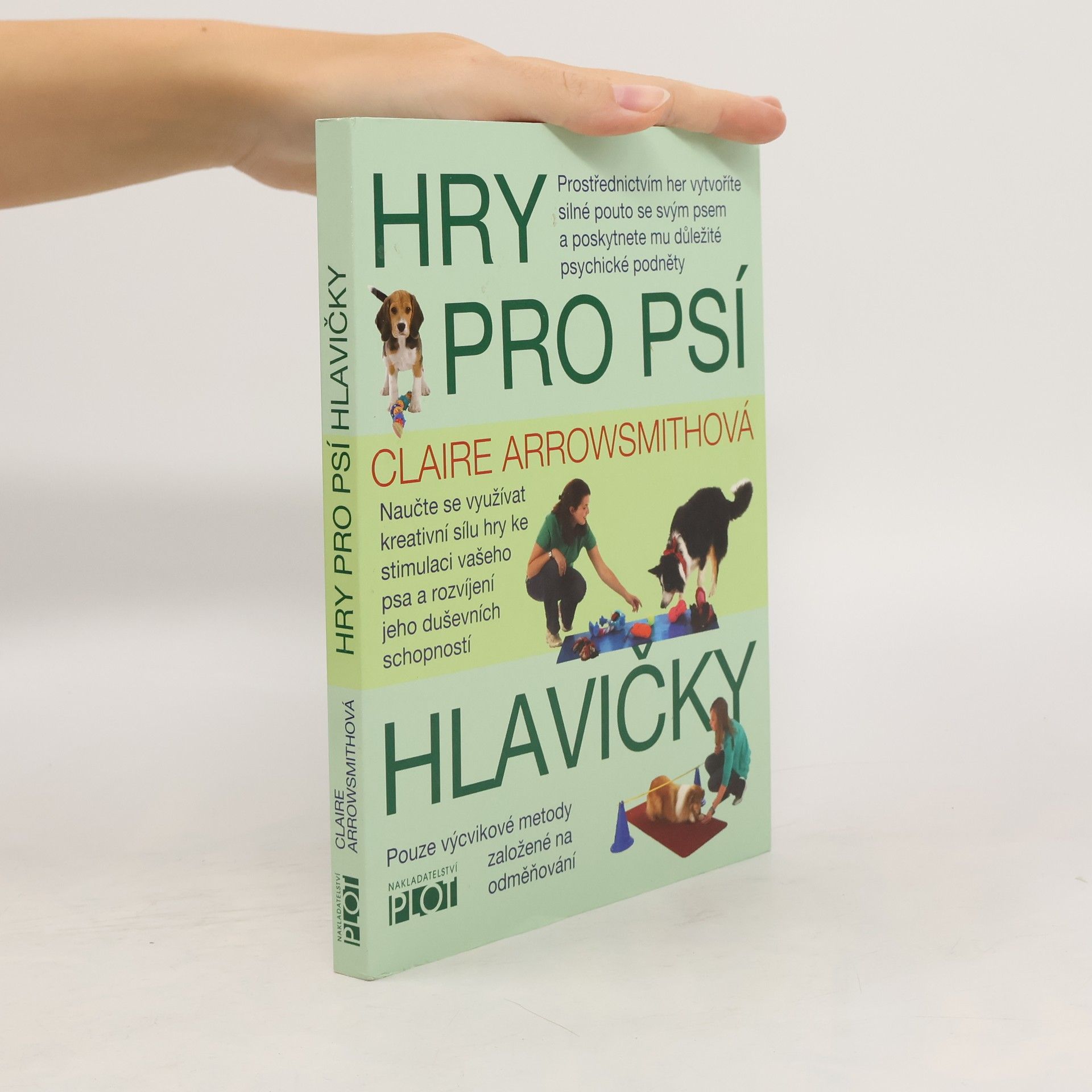 Hry pro psí hlavičky