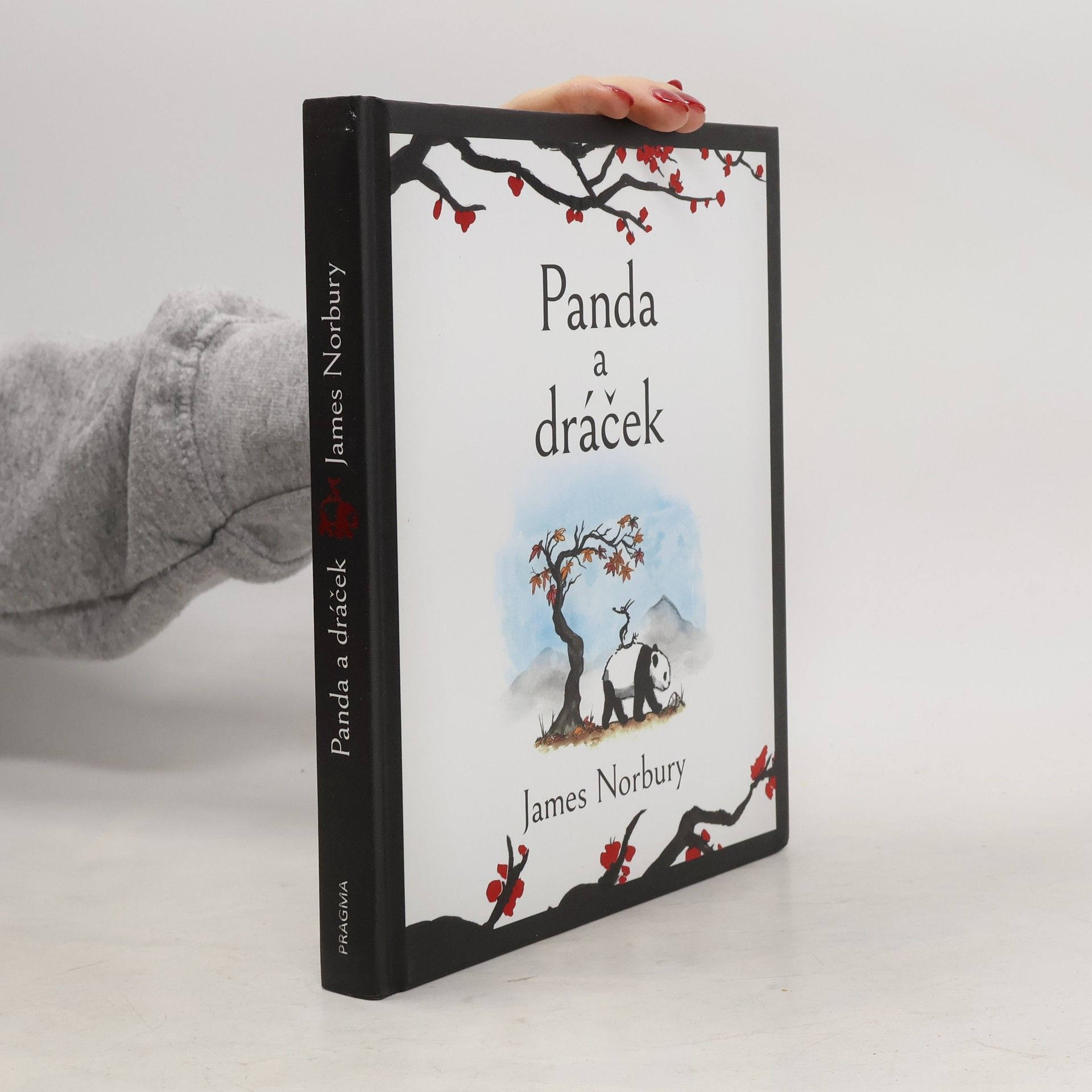 James Norbury Panda a dráček
