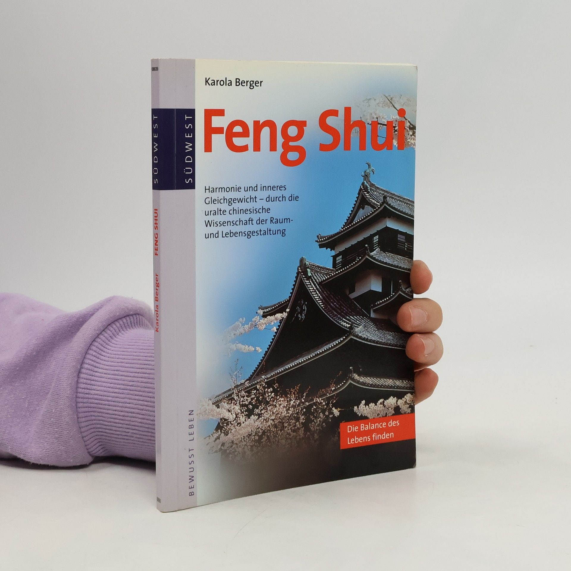 Feng Shui