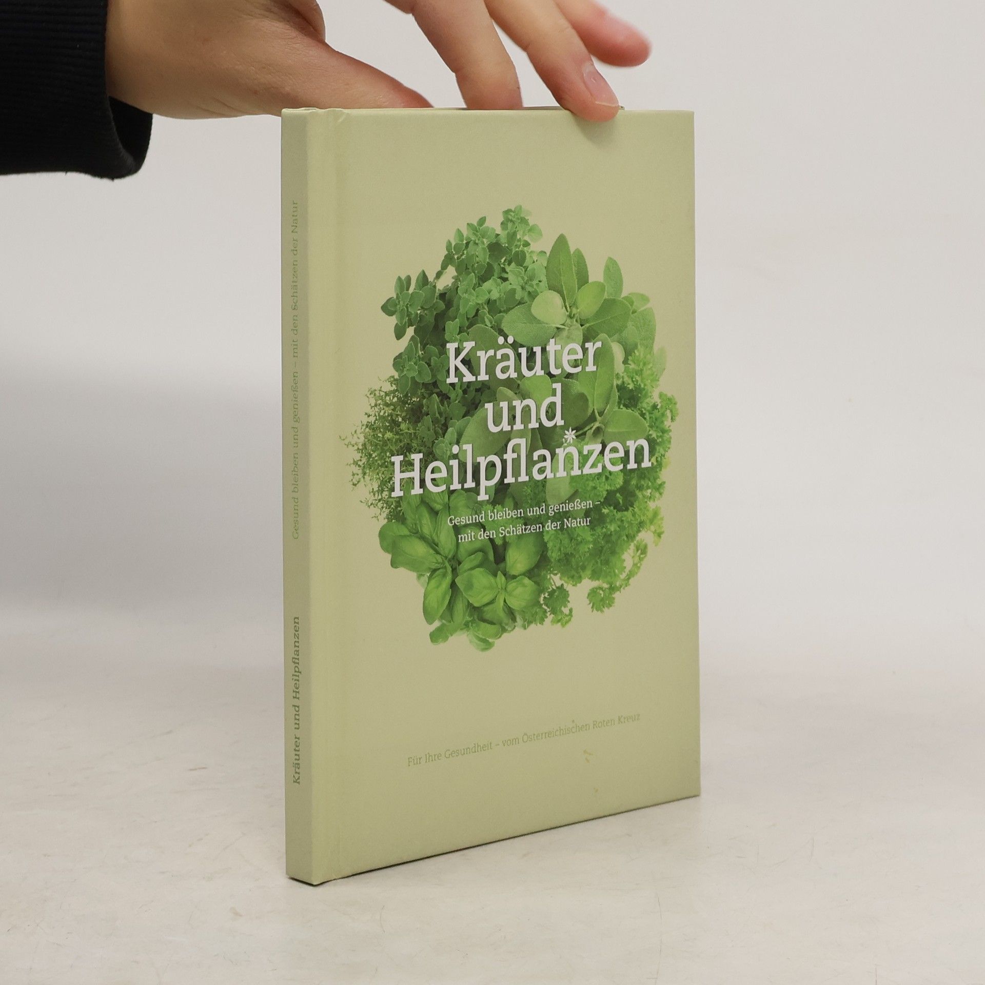 Autorenkollektiv Kräuter und Heilpflanzen