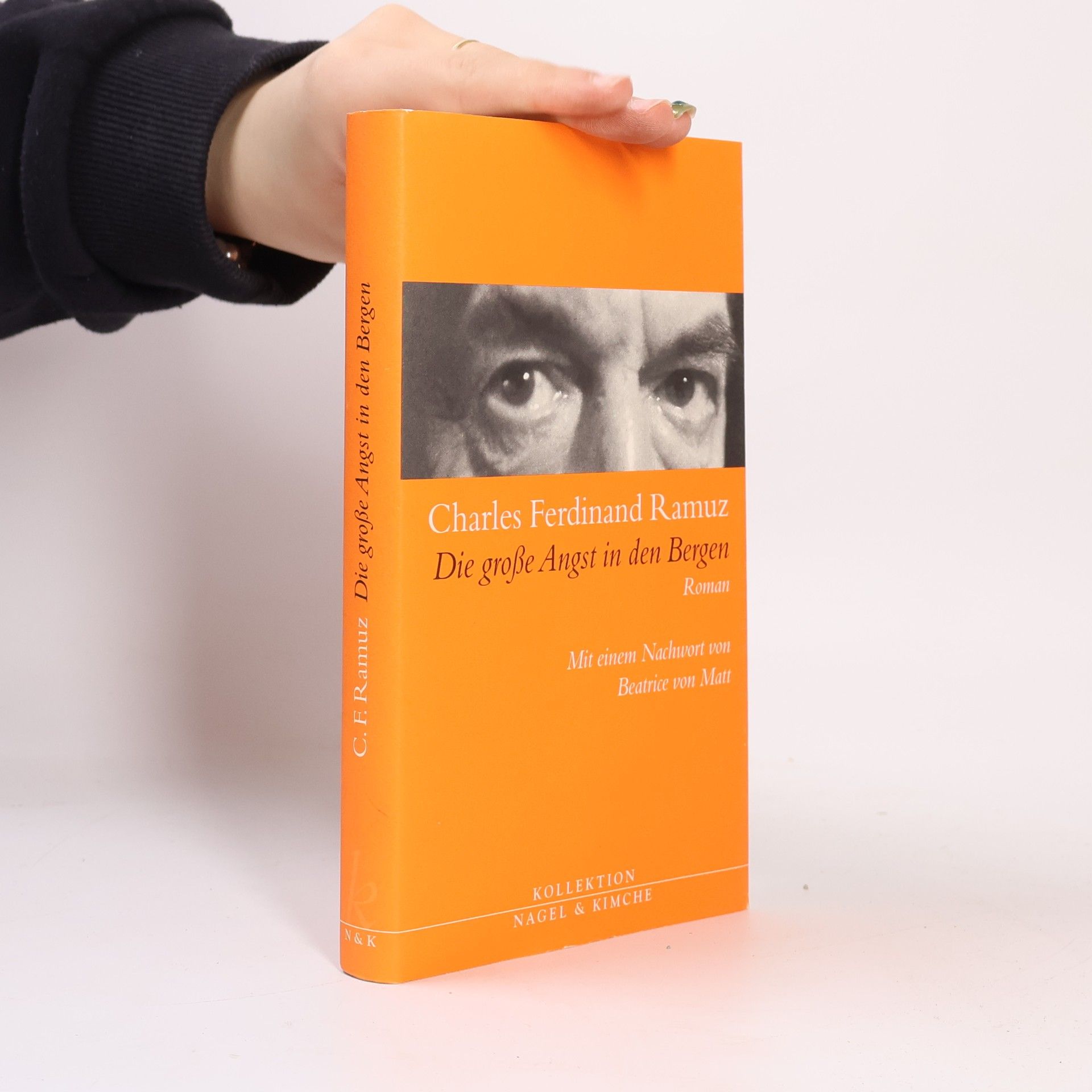 Charles Ferdinand Ramuz Die große Angst in den Bergen
