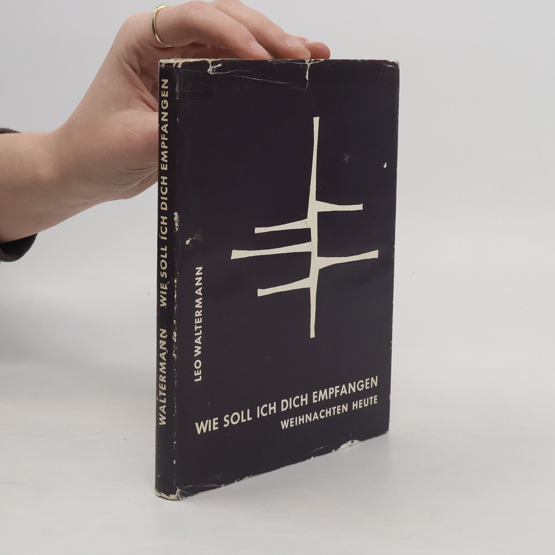 Leo Waltermann Wie soll ich dich empfangen