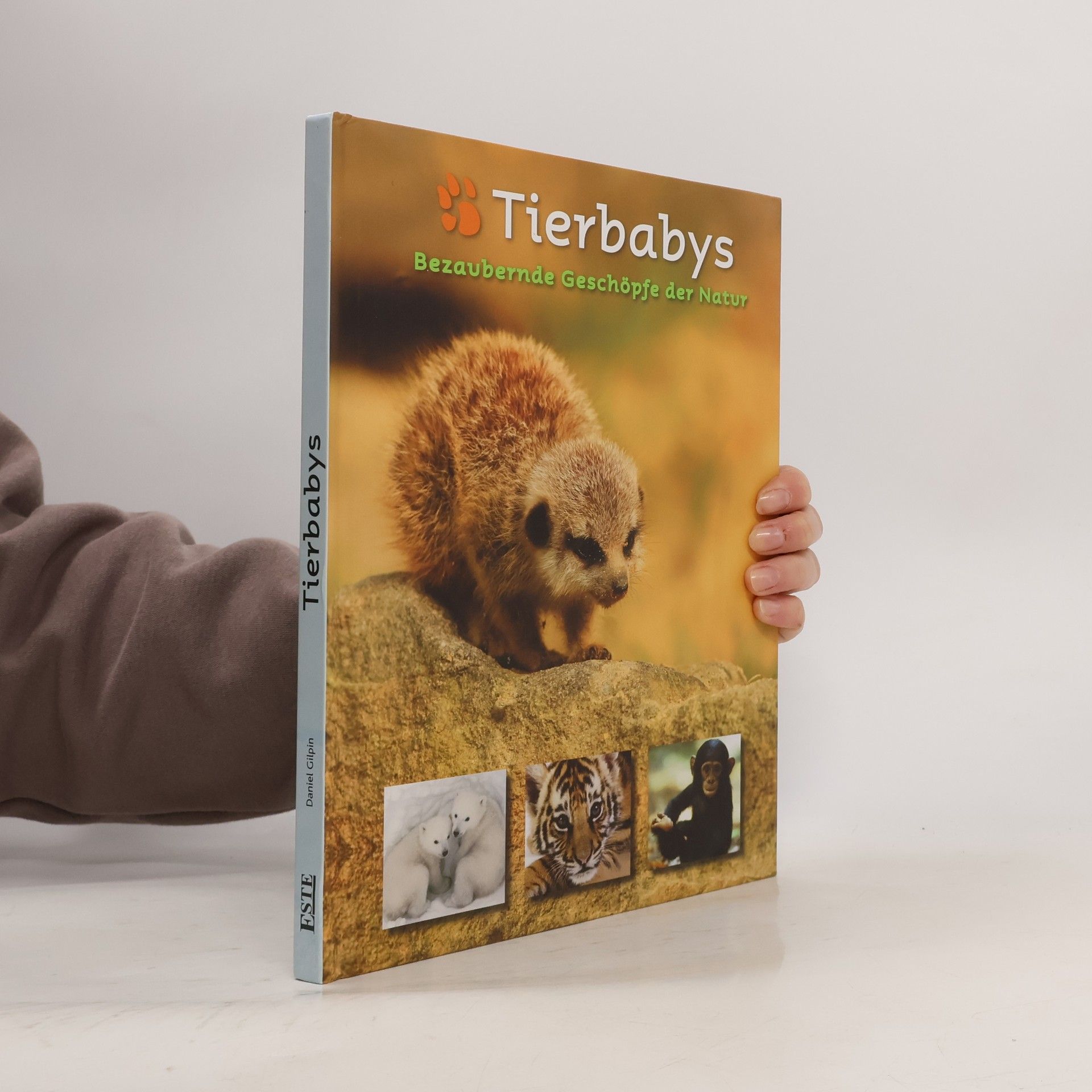 Daniel Gilpin Tierbabys