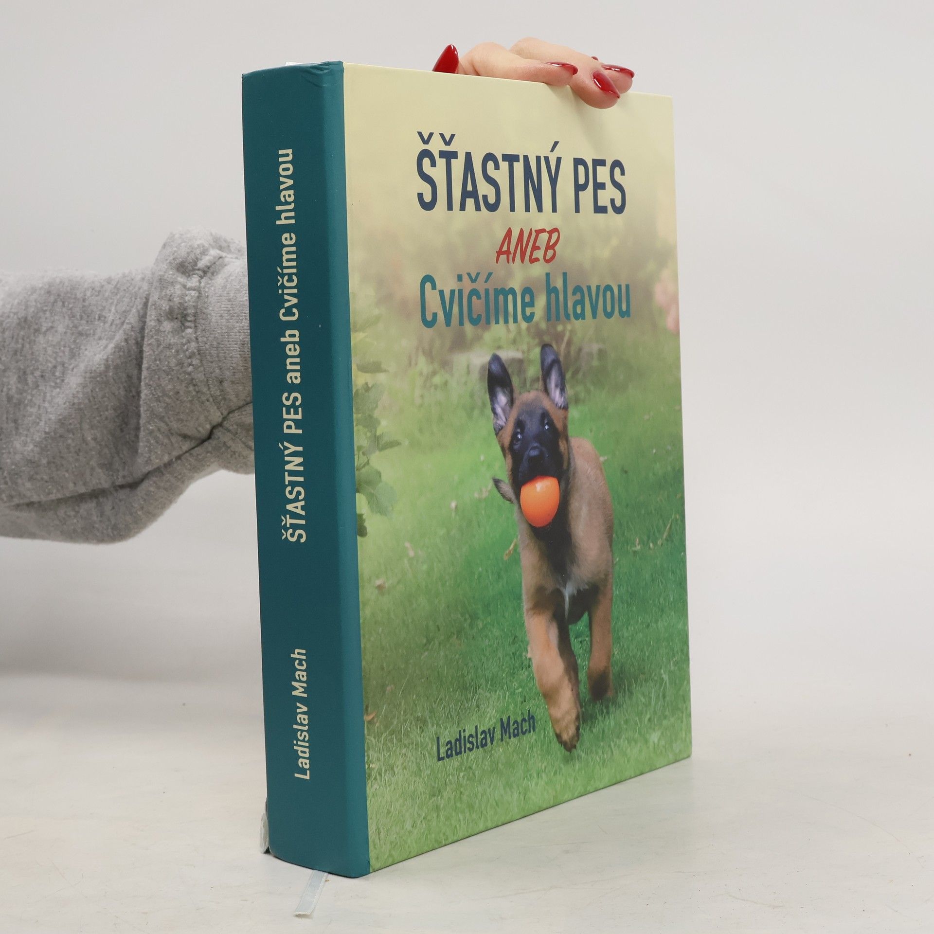 Šťastný pes aneb Cvičíme hlavou