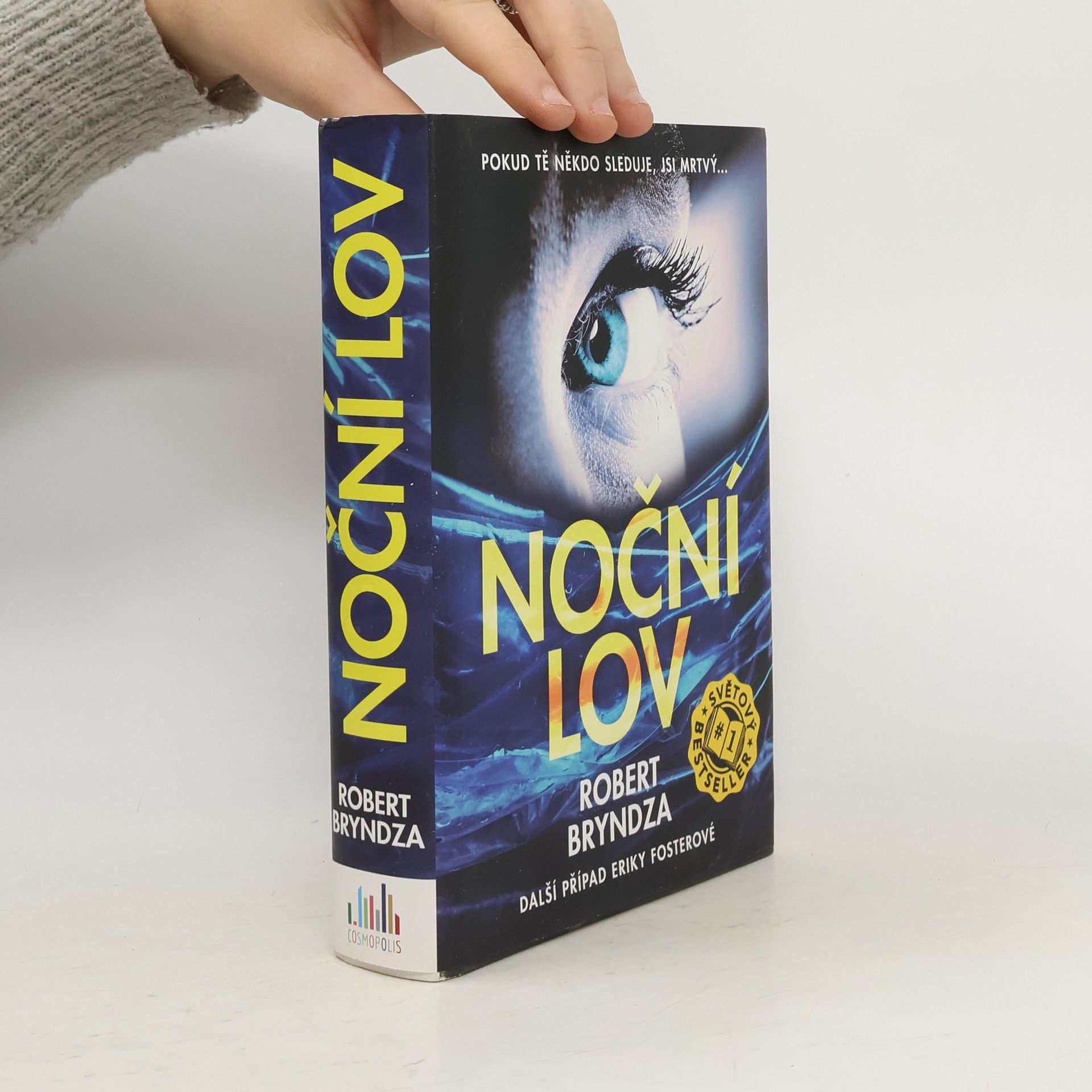 Robert Bryndza Noční lov