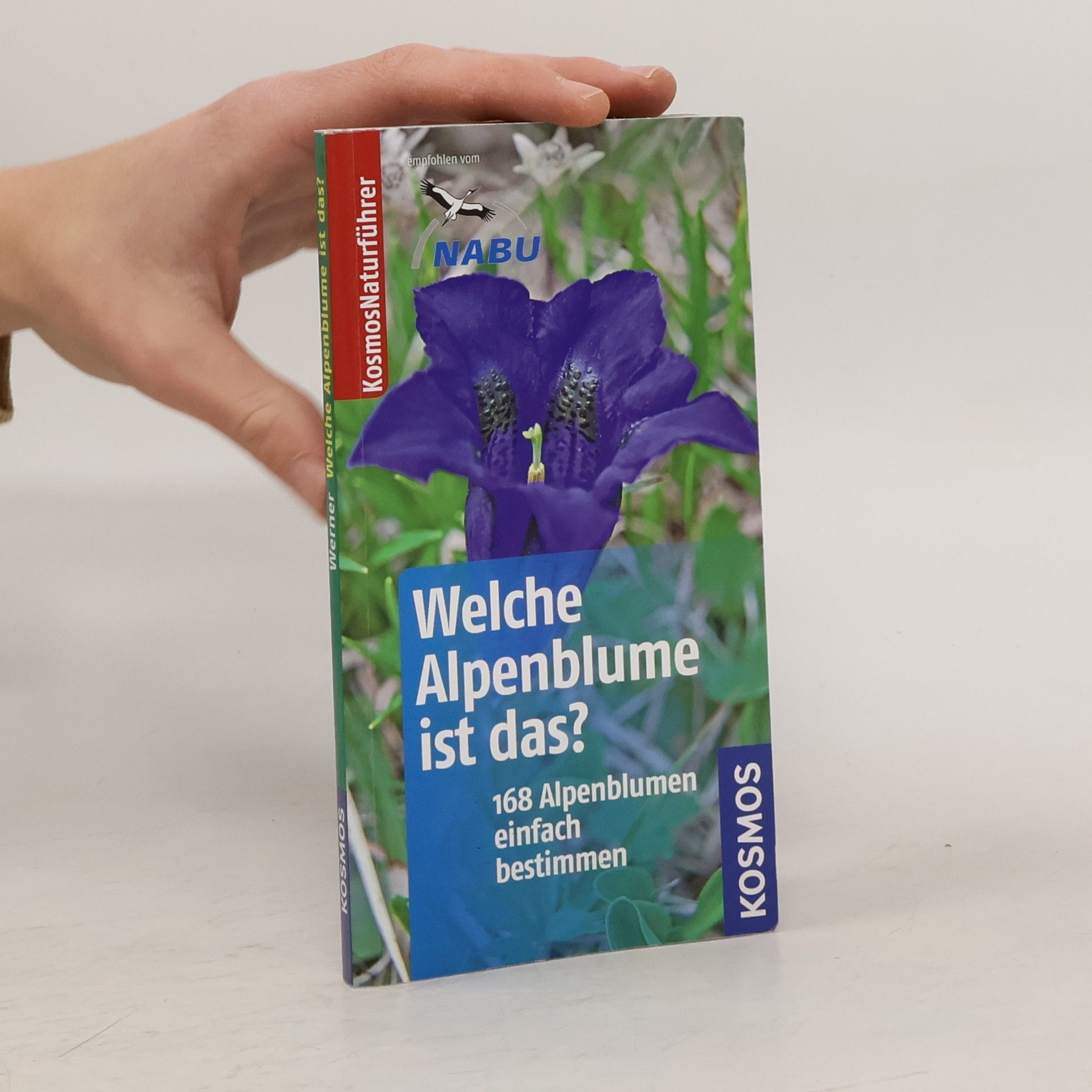 Welche Alpenblume ist das?