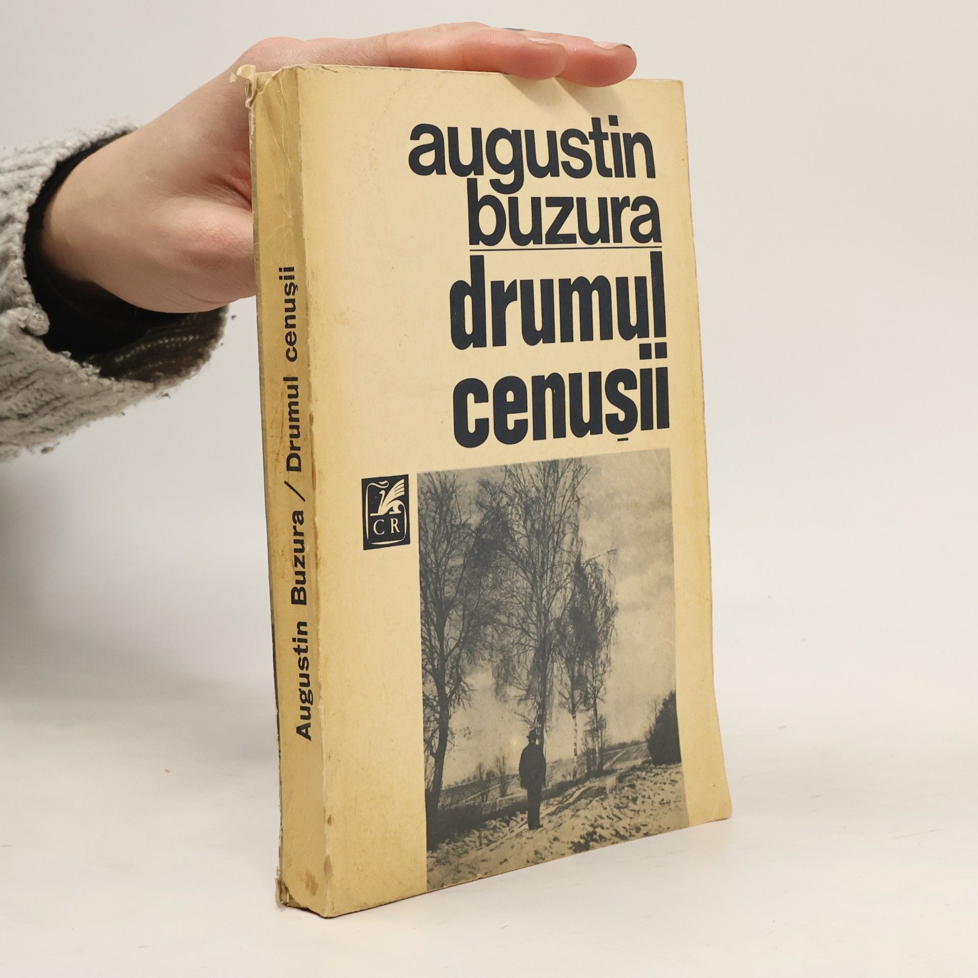 Augustin Buzura Drumul cenușii