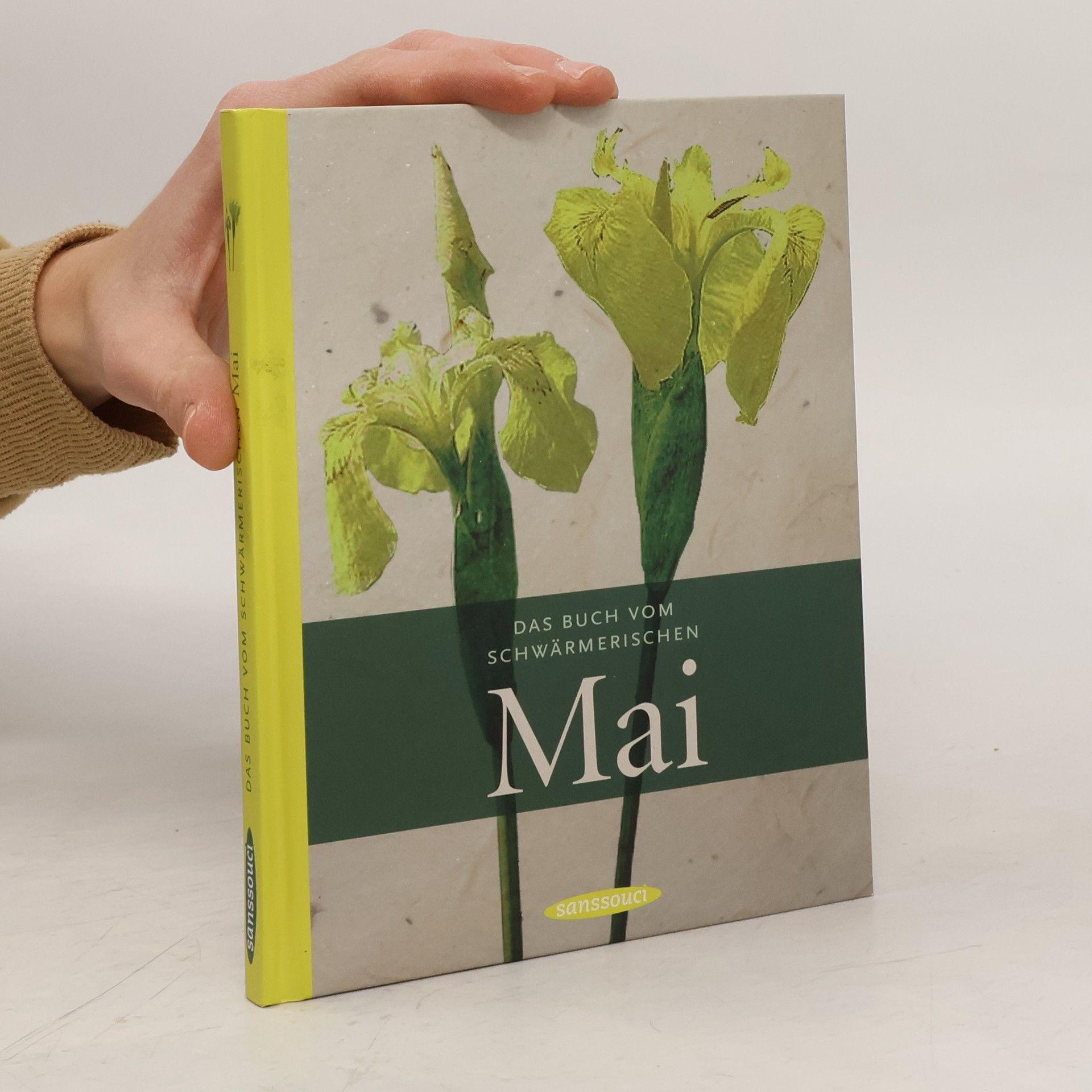 Klaus Modick Das Buch vom schwärmerischen Mai