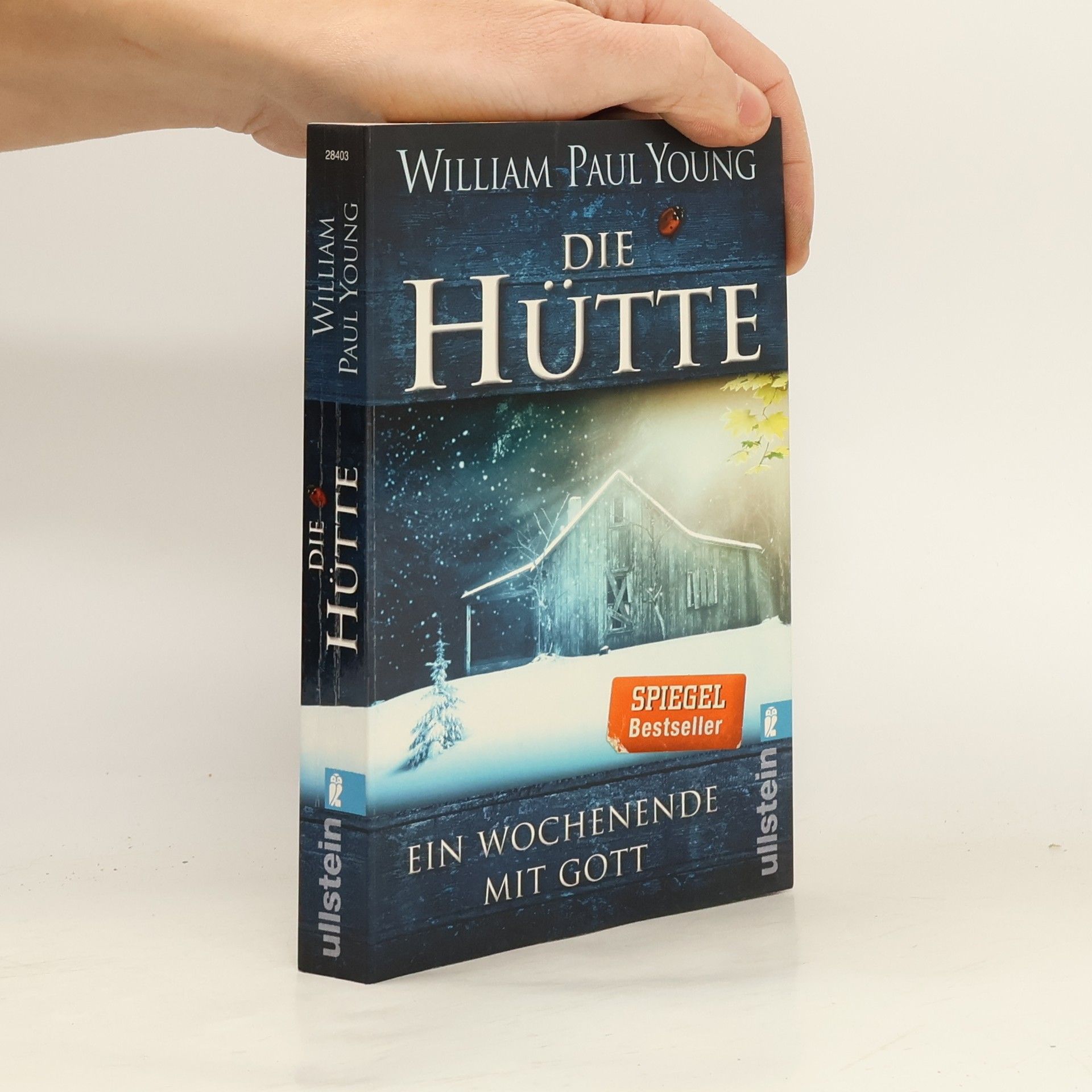 William P. Young Die Hütte