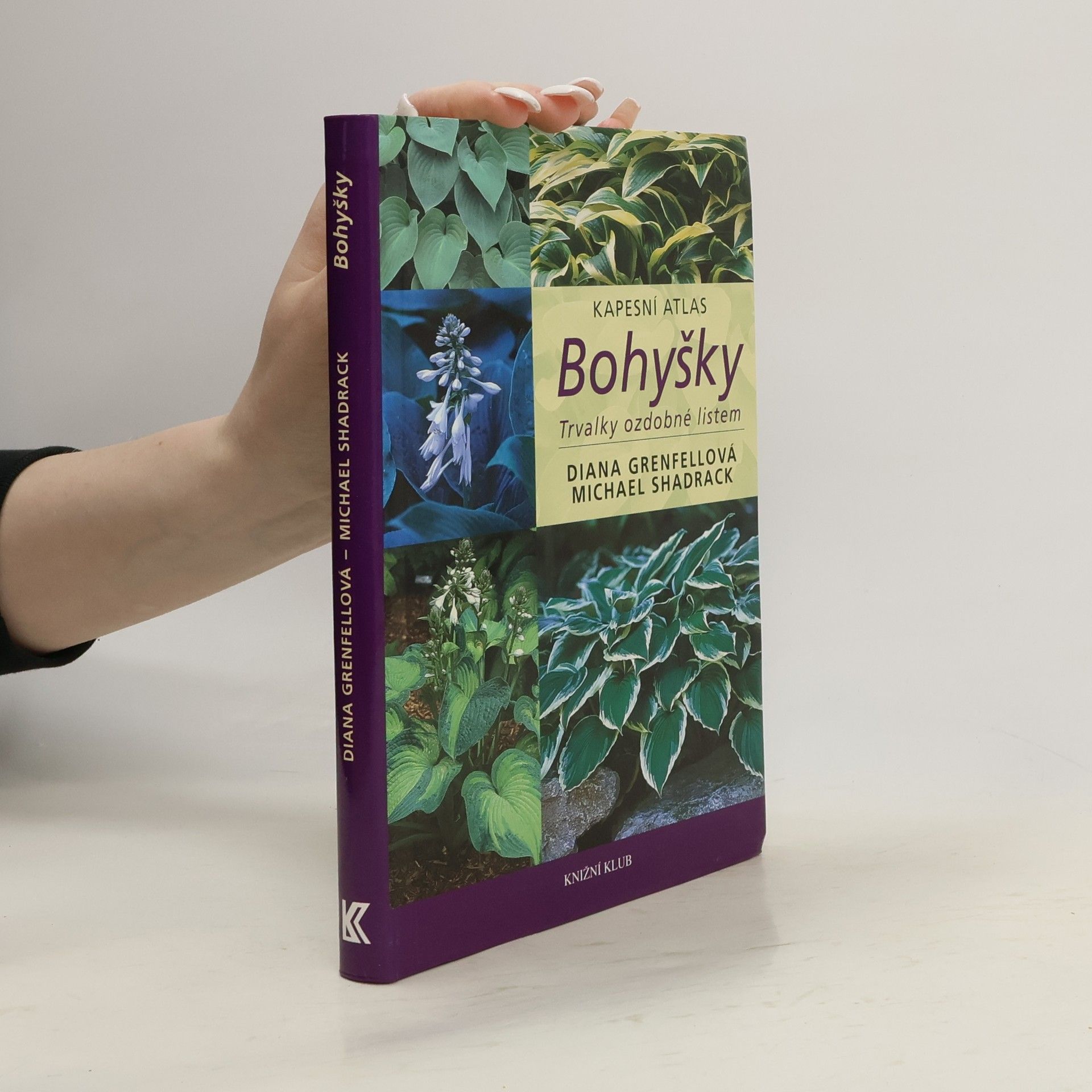 Diana Grenfell Bohyšky - trvalky ozdobné listem