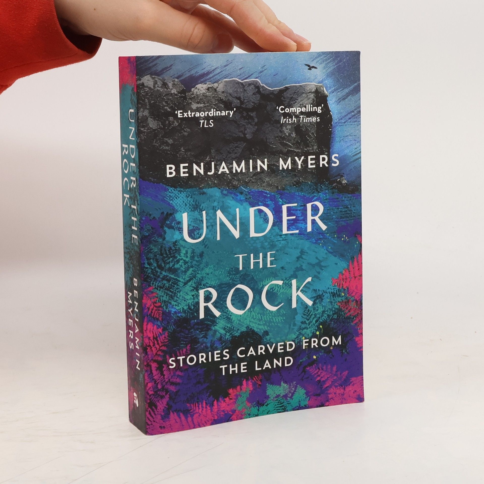 Benjamin Myers Under the Rock