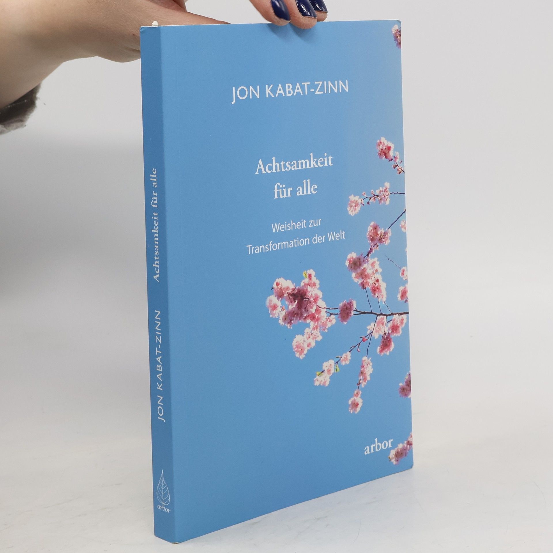 Jon Kabat-Zinn Achtsamkeit für alle