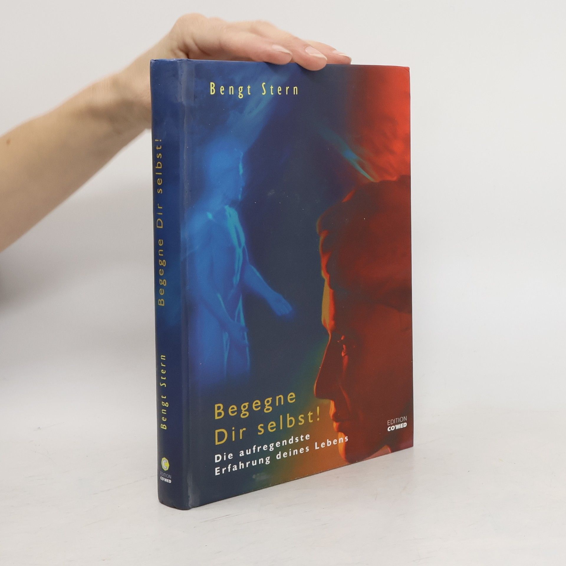 Bengt Stern Begegne dir selbst!