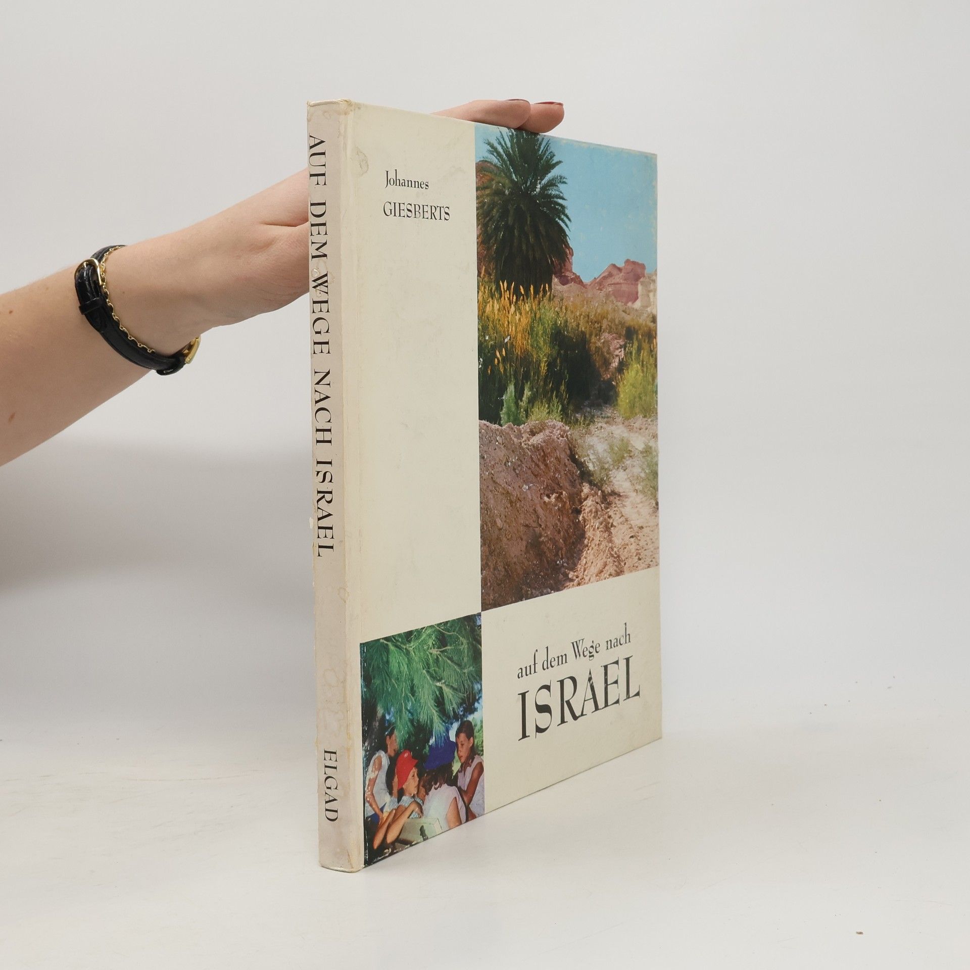 Johannes Giesberts Auf dem Wege nach ISRAEL