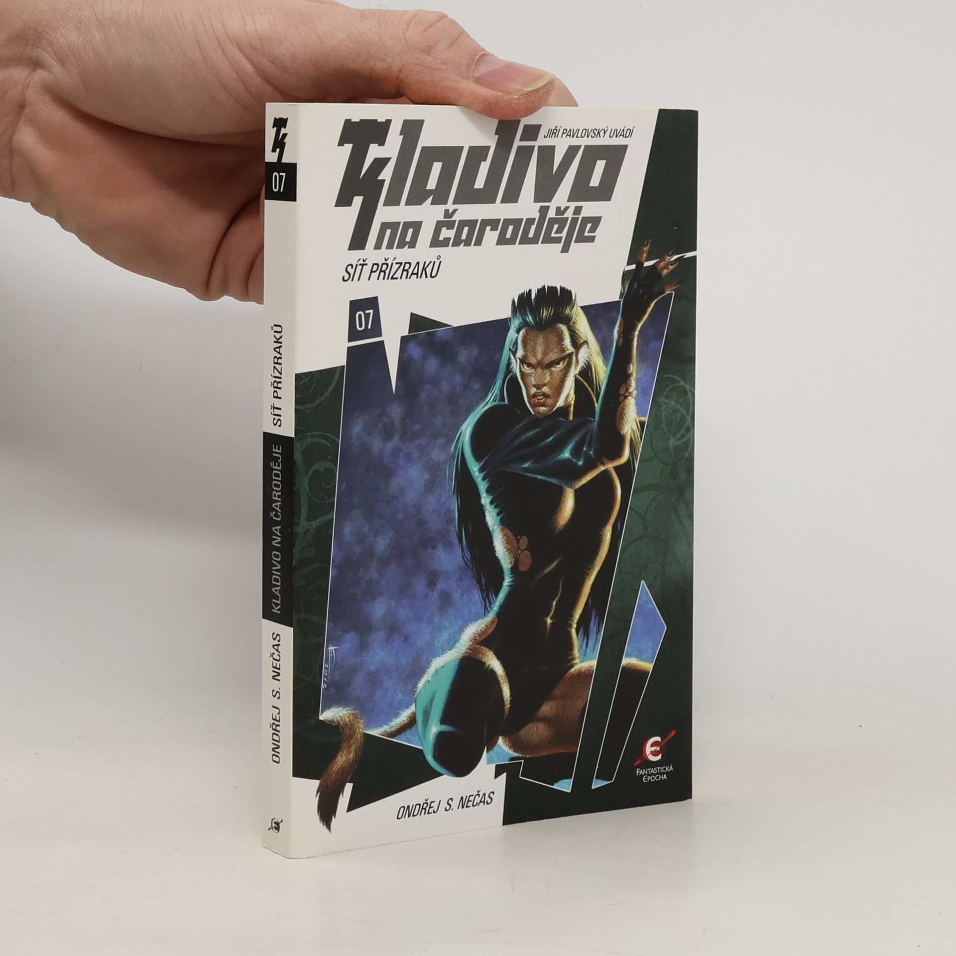 Síť přízraků. Kladivo na čaroděje 7