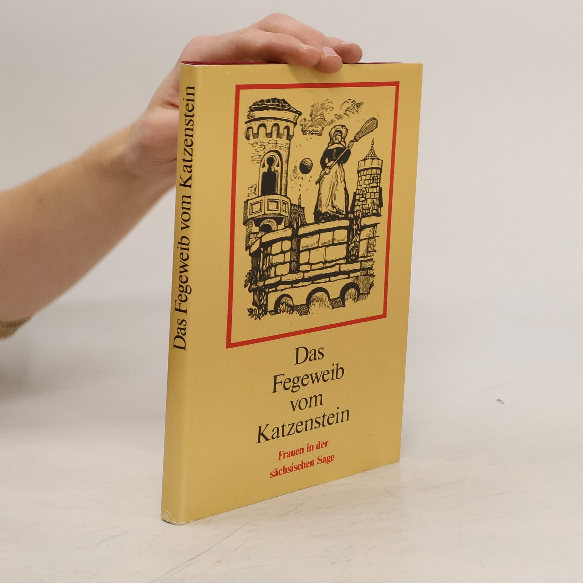 Dietmar Werner Das Fegeweib vom Katzenstein