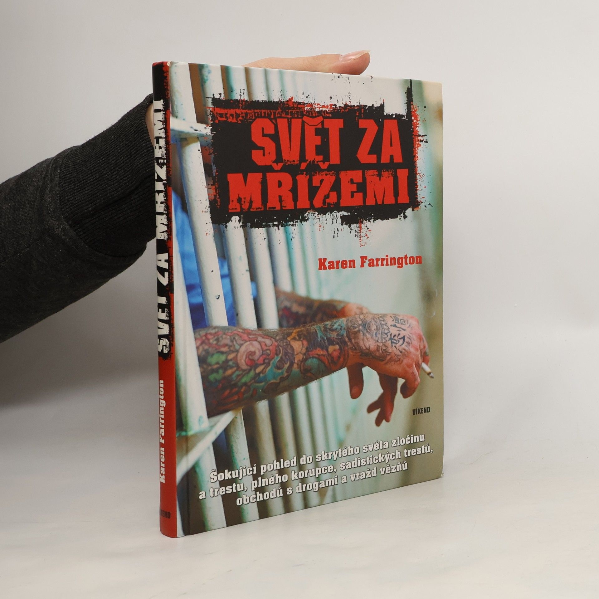 Karen Farrington Svět za mřížemi