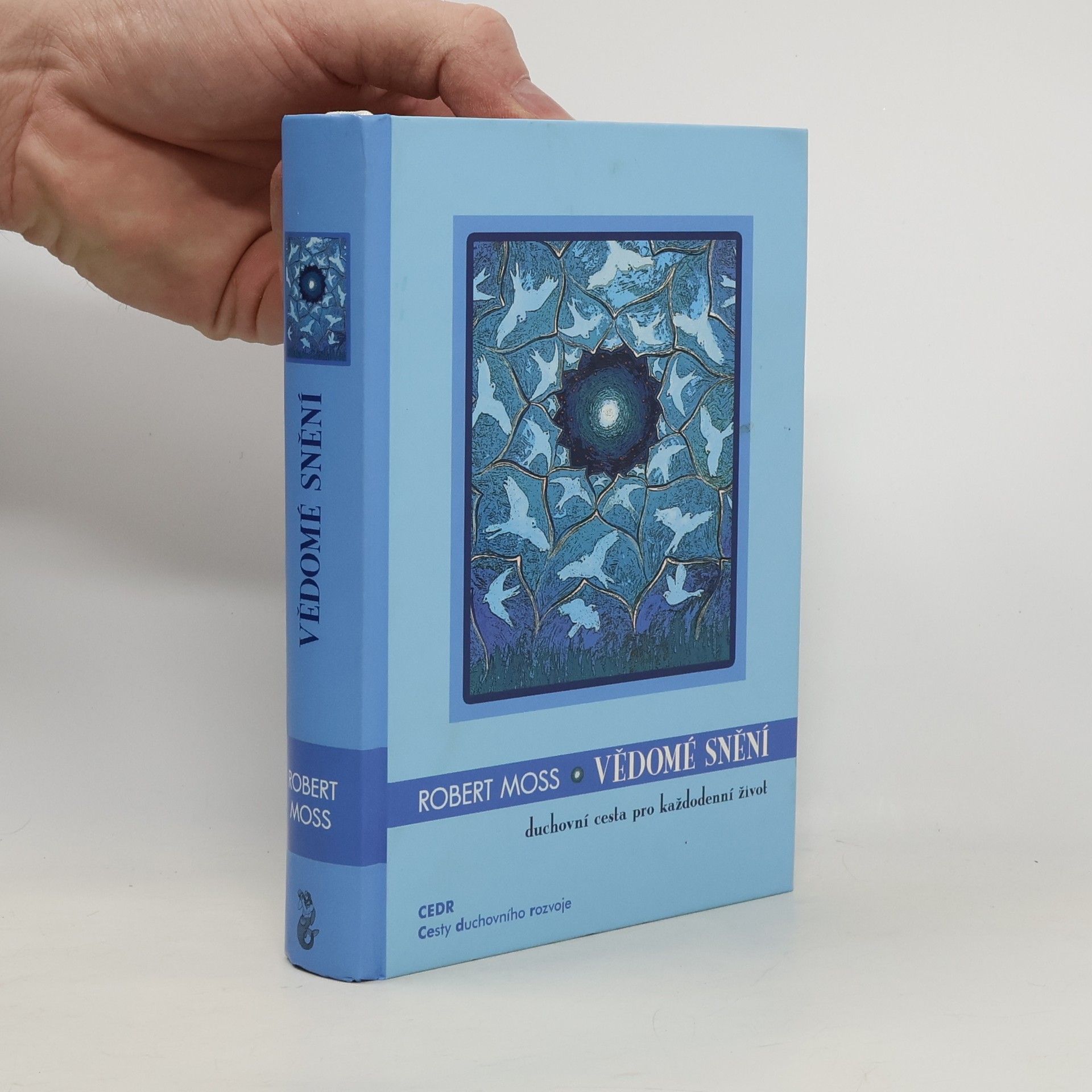 Robert Moss Vědomé snění
