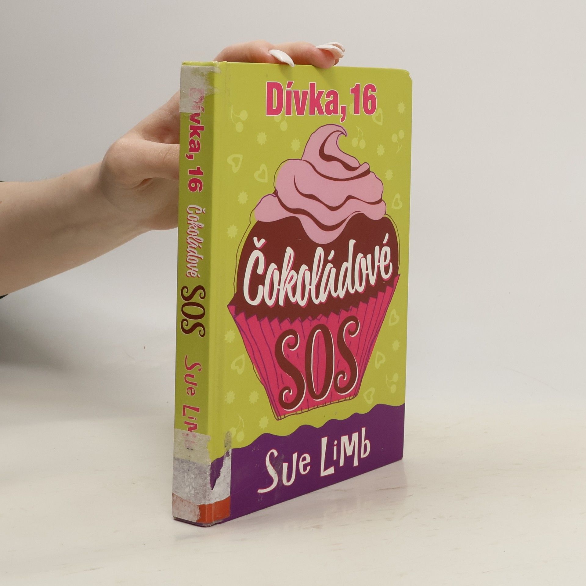 Sue Limb Dívka, 16 - Čokoládové SOS