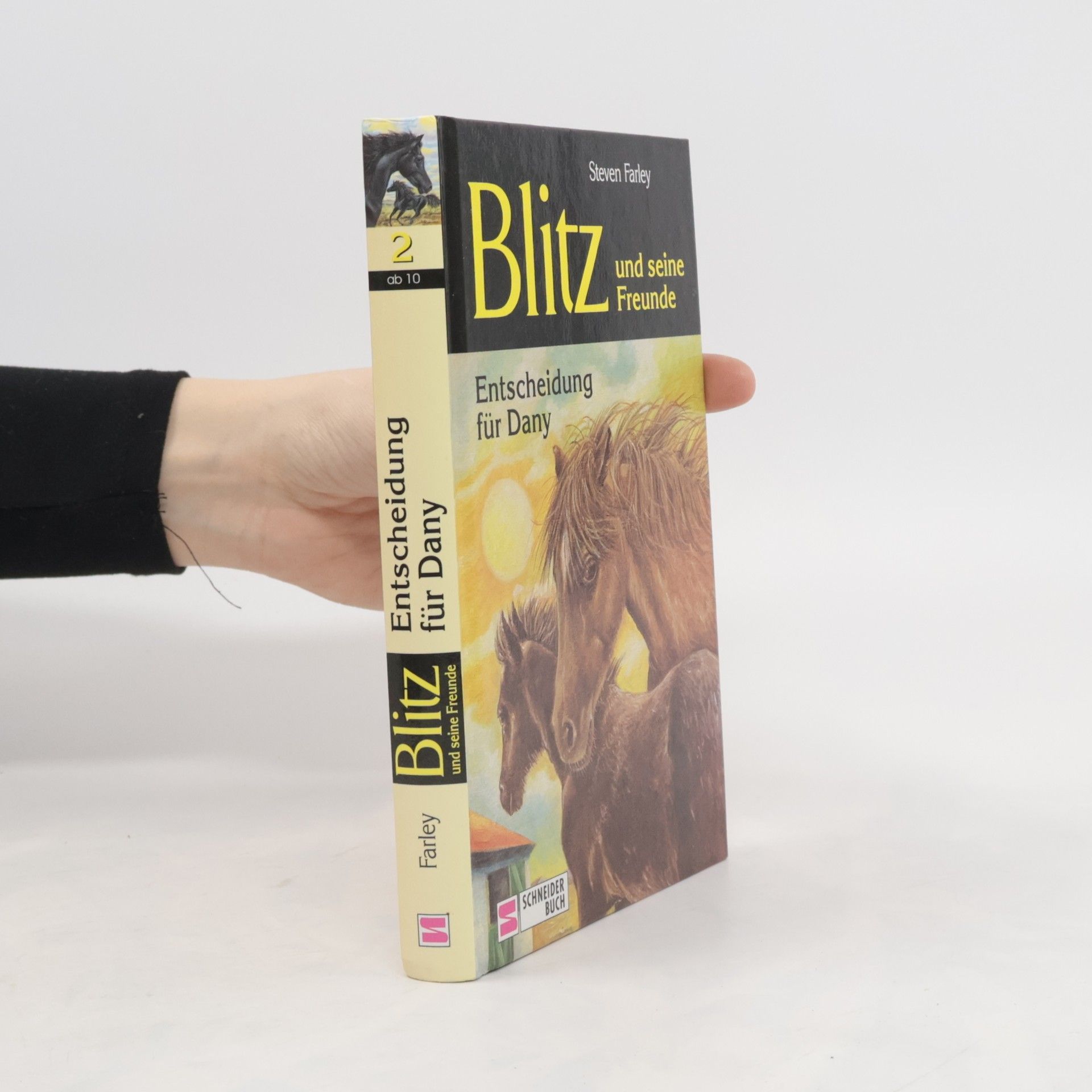 Steven Farley Entscheidung für Dany