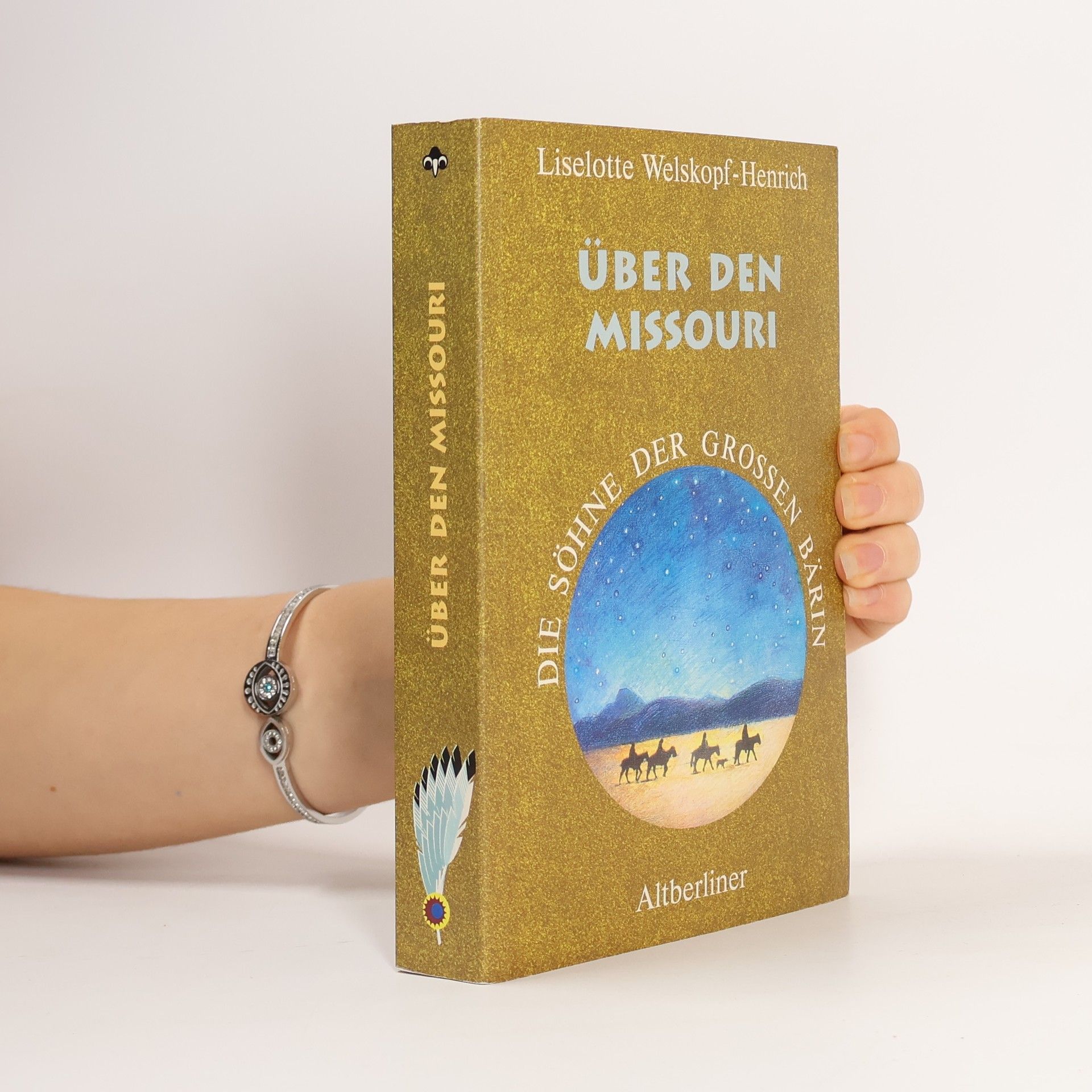 Die Söhne der Großen Bärin, 6 Bde. Kt, Bd.6, Über den Missouri