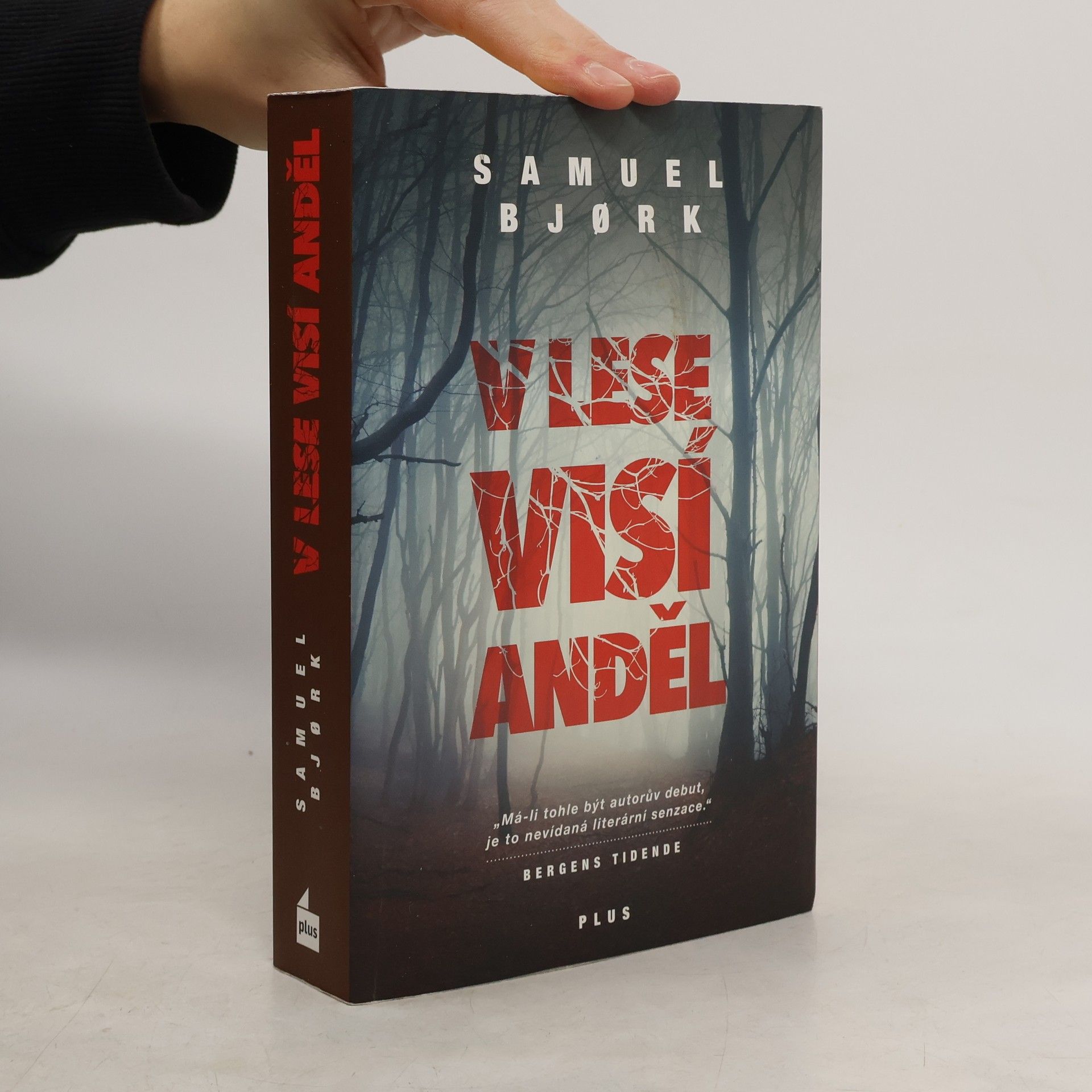 Samuel Bjork V lese visí anděl