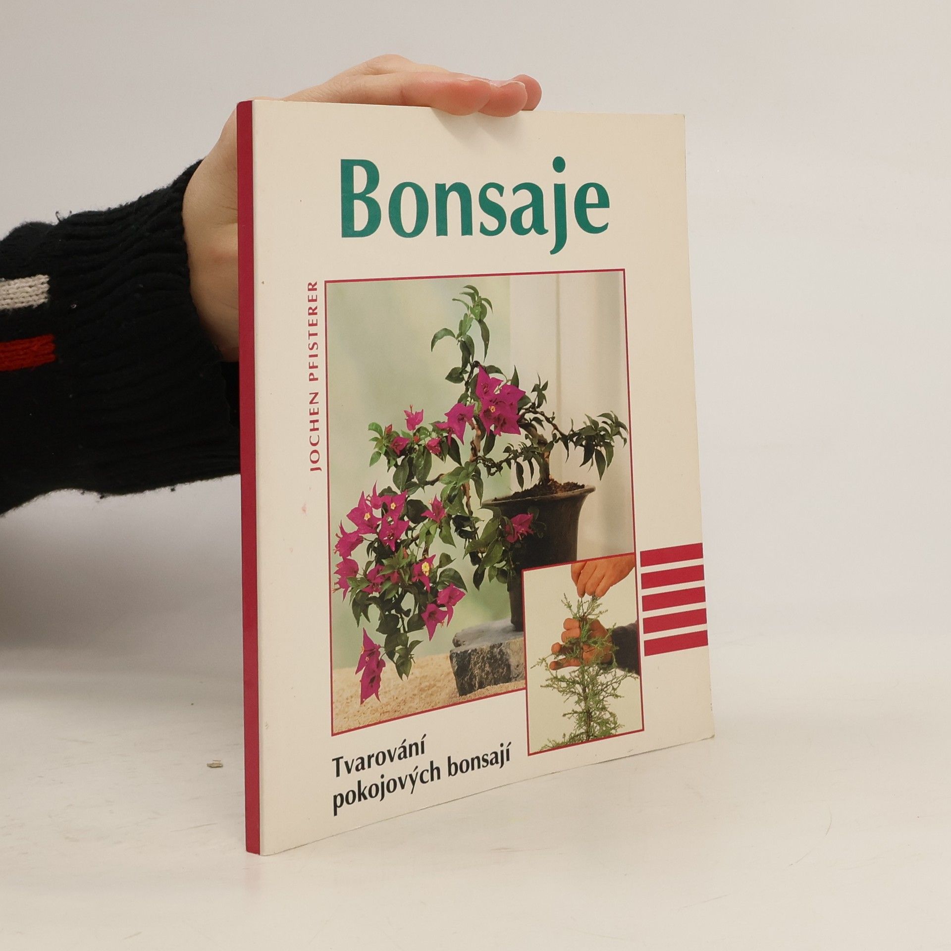 Jochen Pfisterer Bonsaje. Tvarování pokojových bonsají
