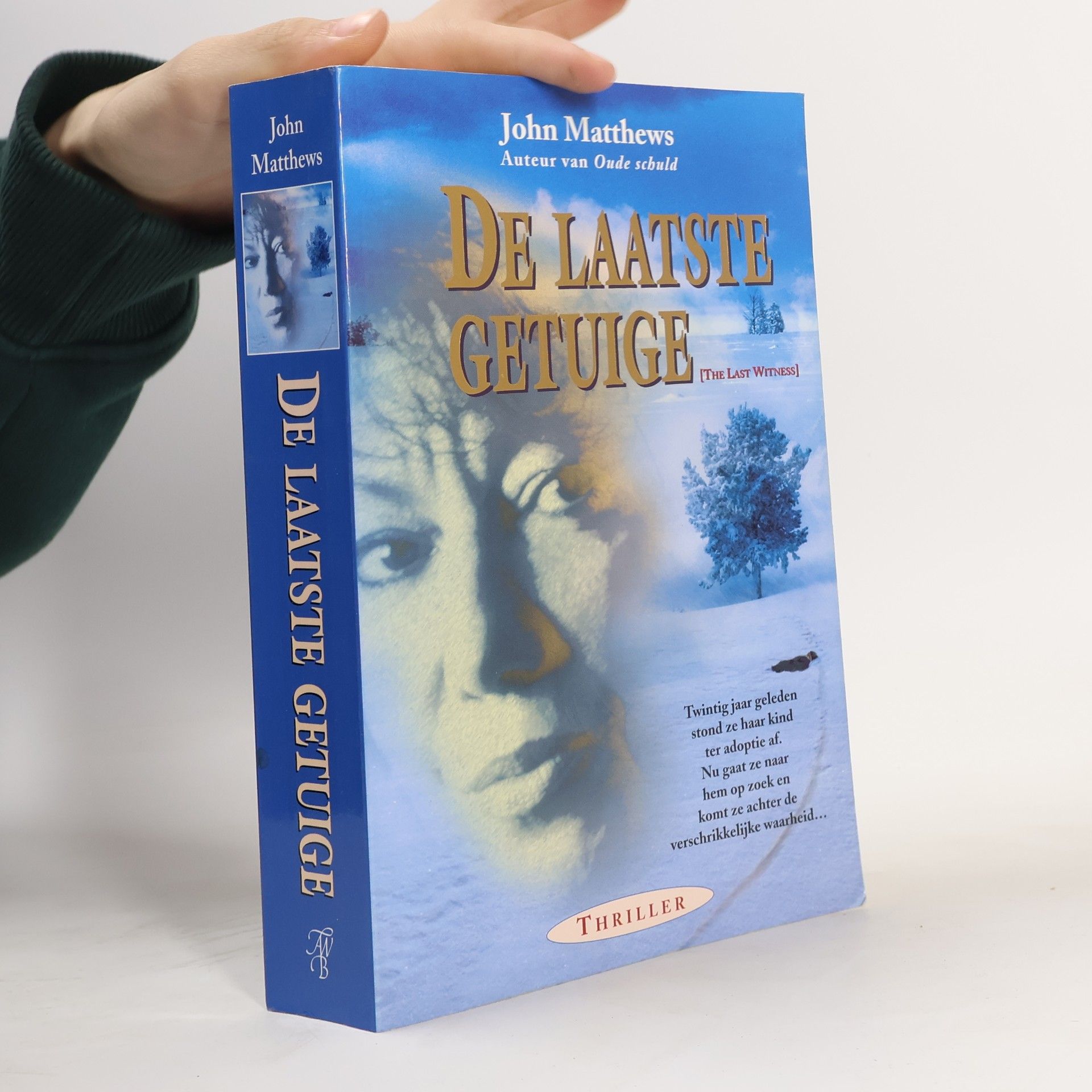 John Matthews De laatste getuige