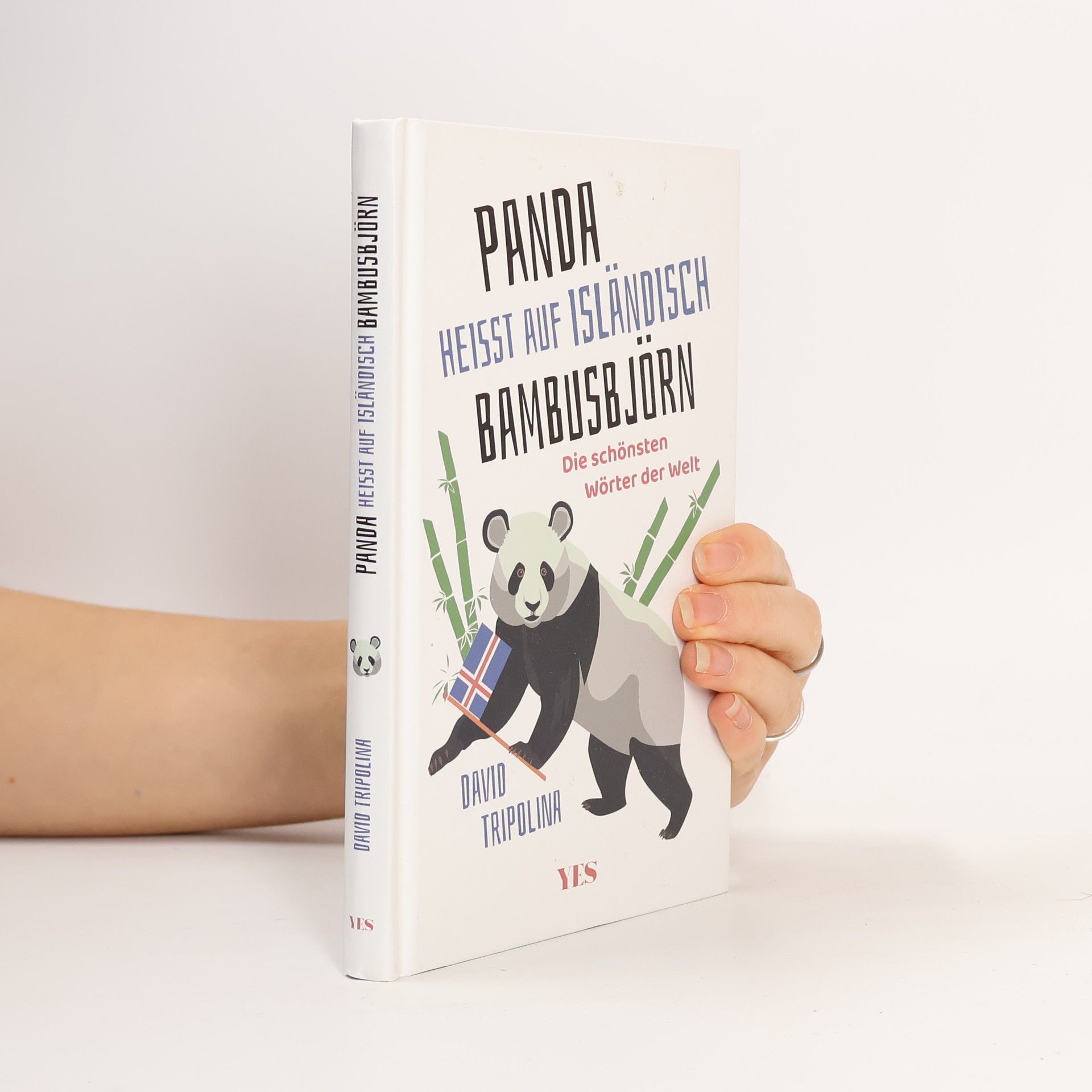David Tripolina »Panda« heißt auf Isländisch »Bambusbjörn«