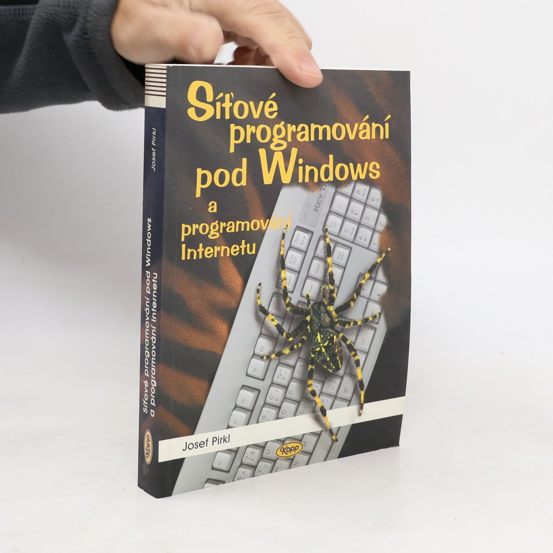 Síťové programování pod Windows a programování Internetu