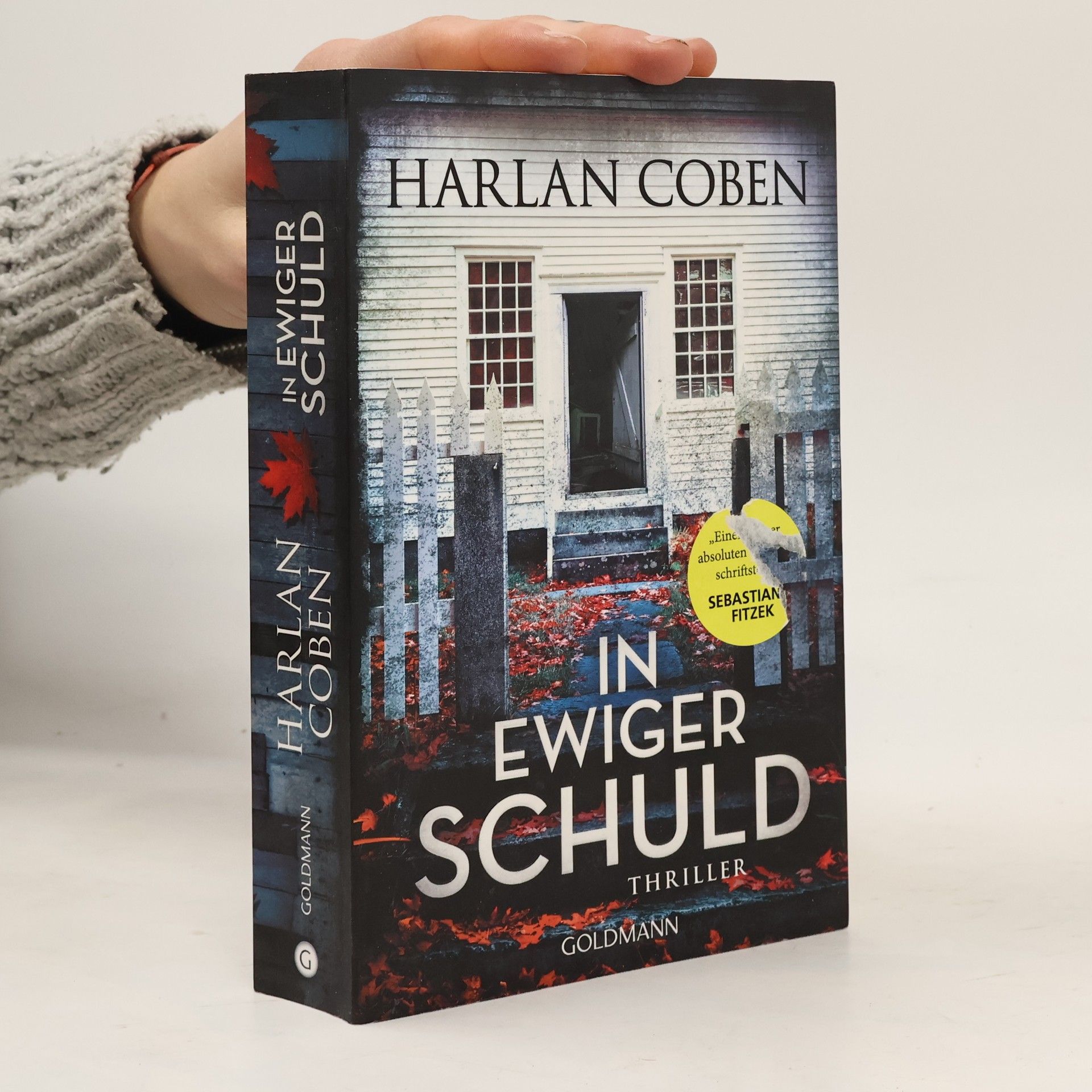 Harlan Coben In ewiger Schuld