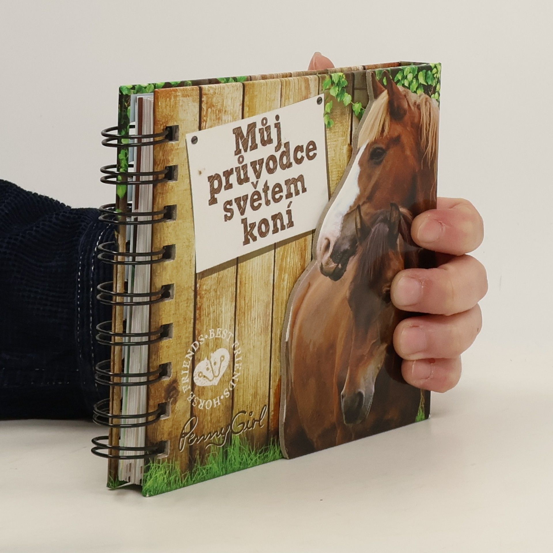 AA.VV. Můj průvodce světem koní