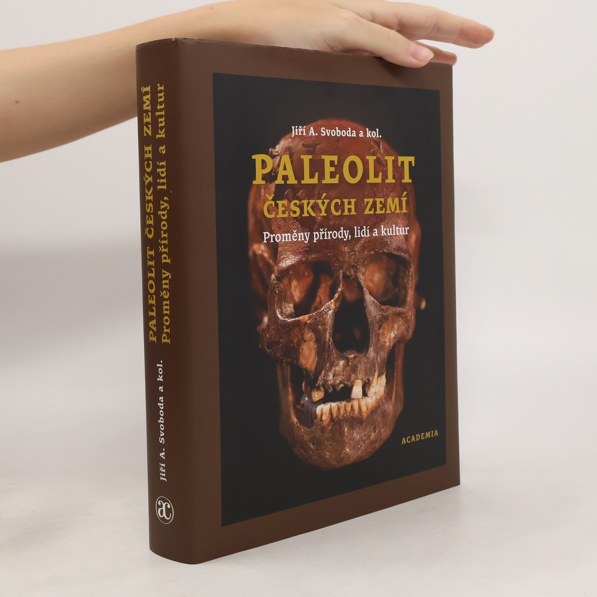 Prof. PhDr. Jiří A. Svoboda DrSc. Paleolit Českých Zemí: proměny přírody, lidí a kultur (2025)