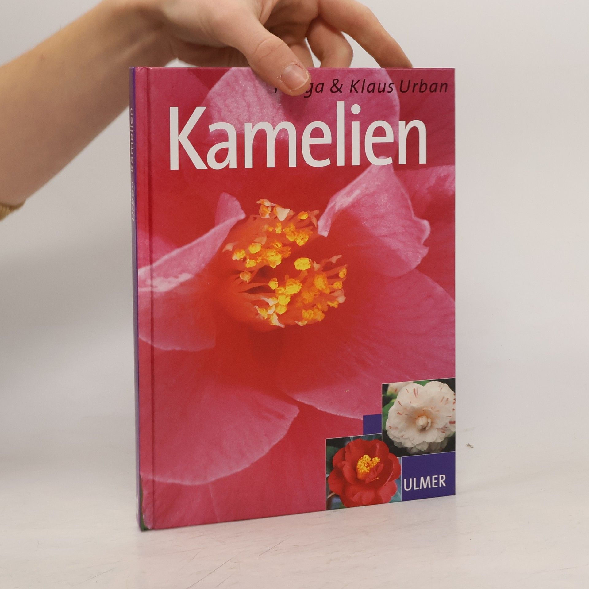 Helga Urban Kamelien