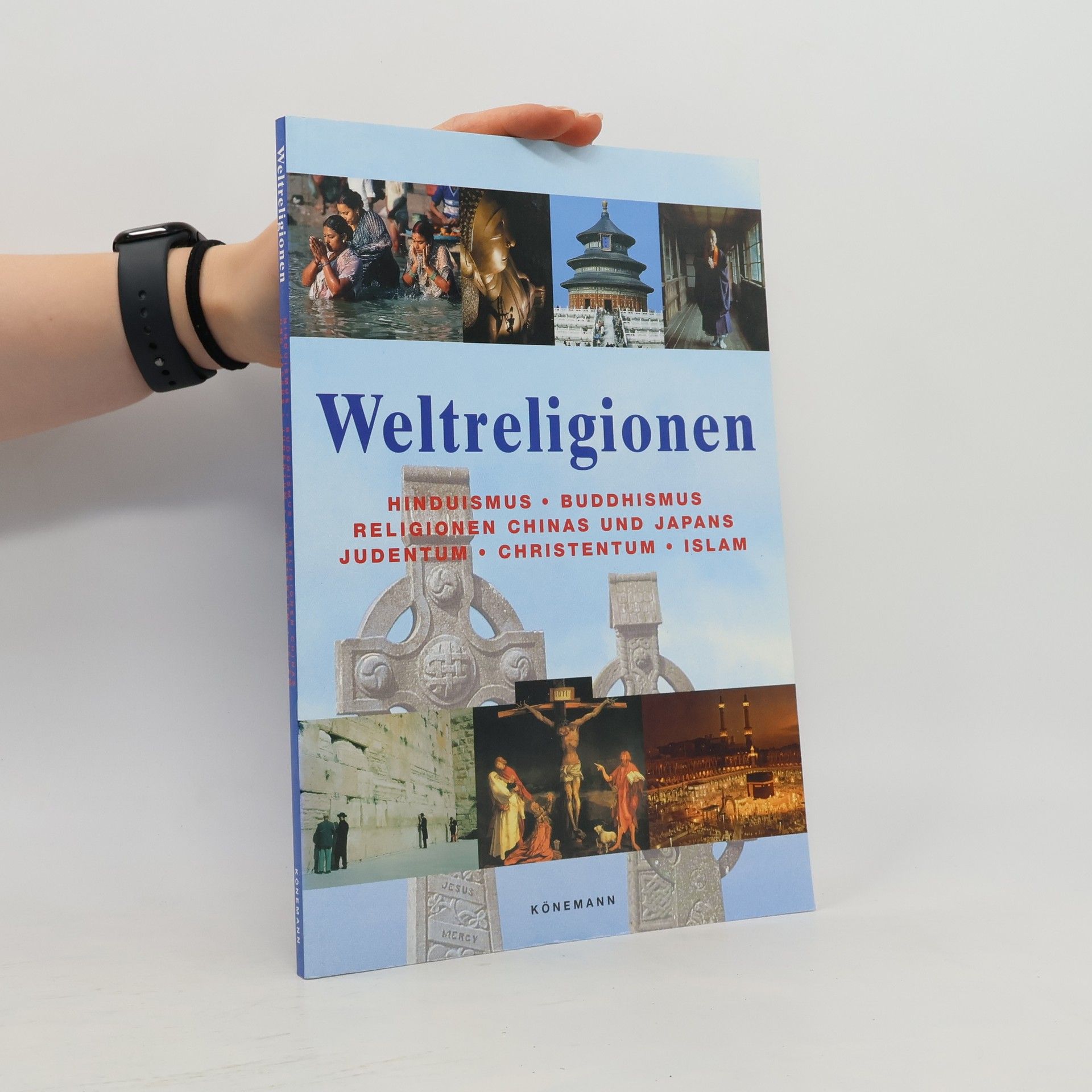 Markus Hattstein Weltreligionen