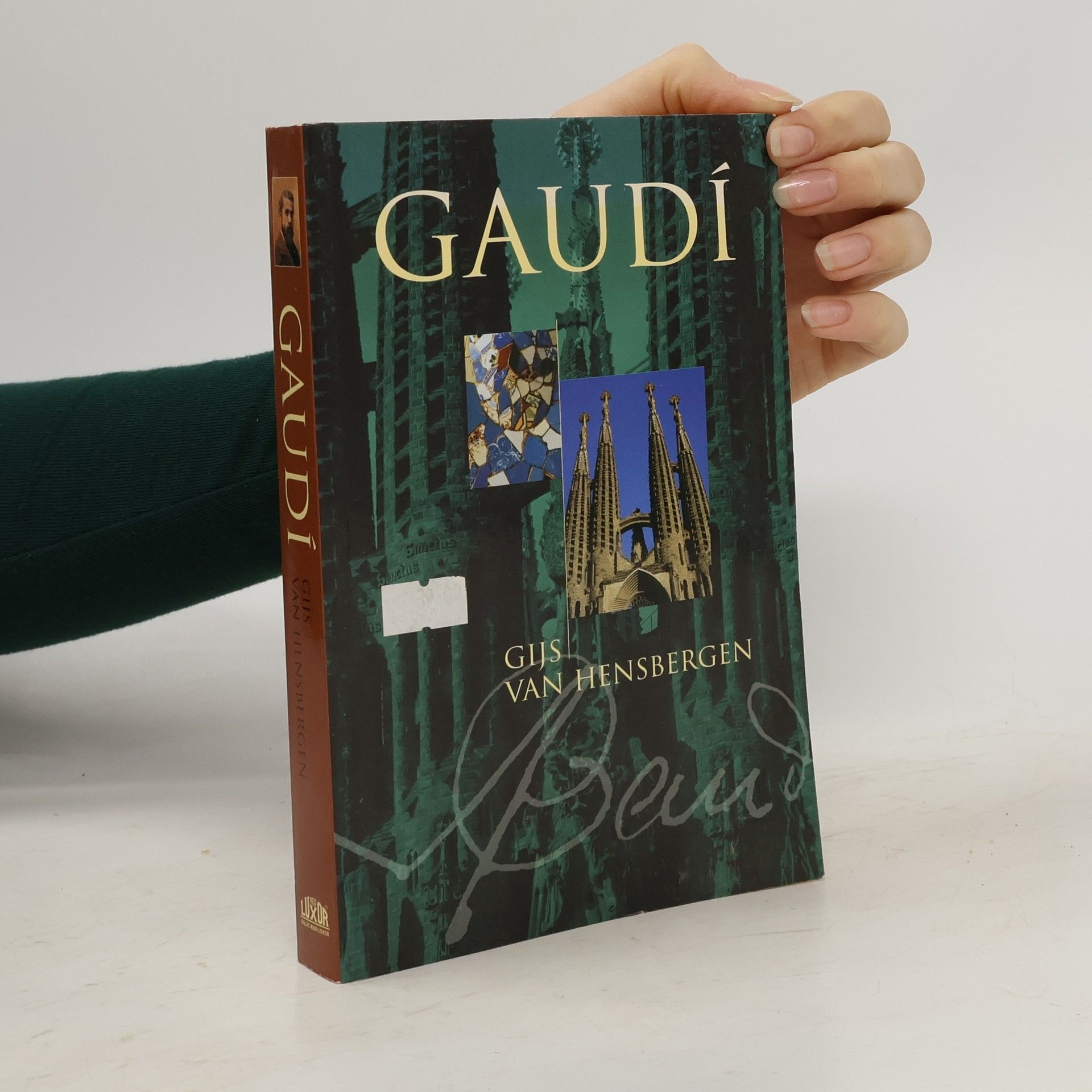 Gijs van Hensbergen Gaudí