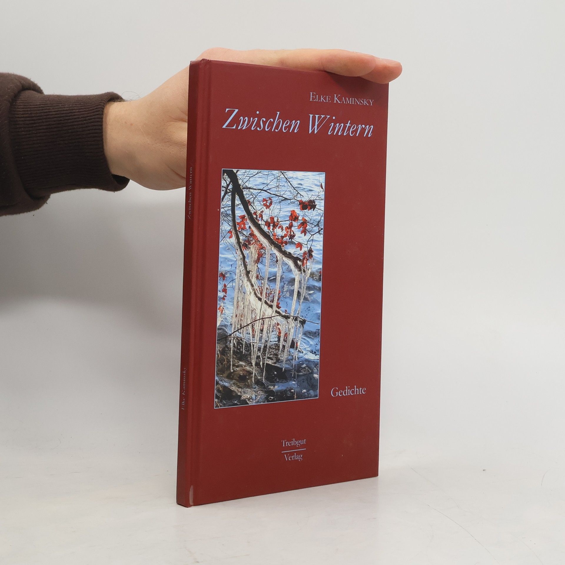 Elke Kaminsky Zwischen Wintern