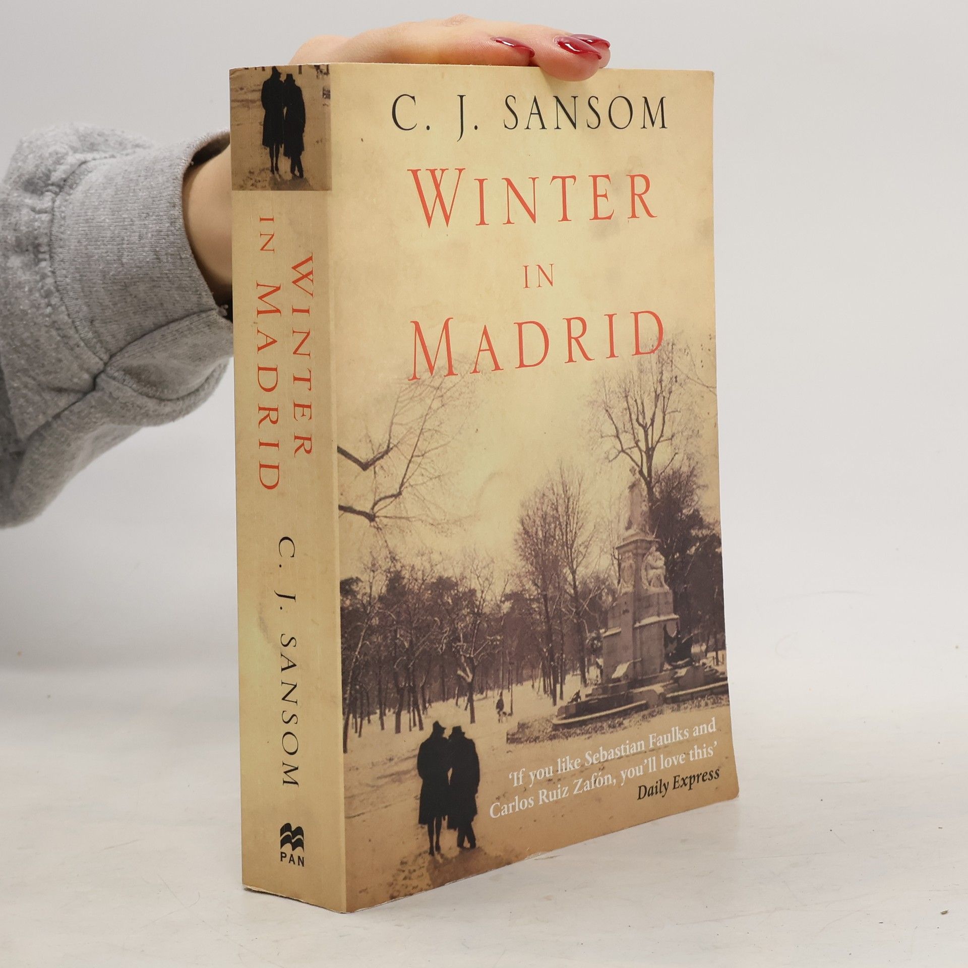 Winter in Madrid