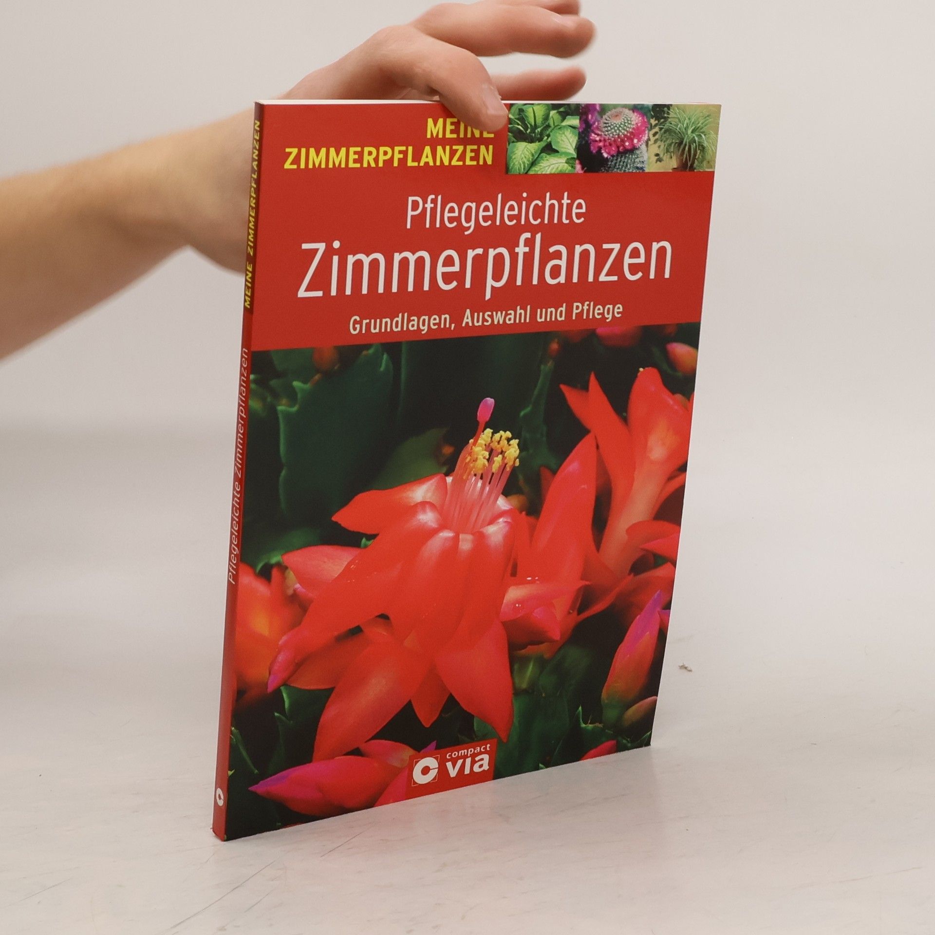 Uschi Dyball Pflegeleichte Zimmerpflanzen