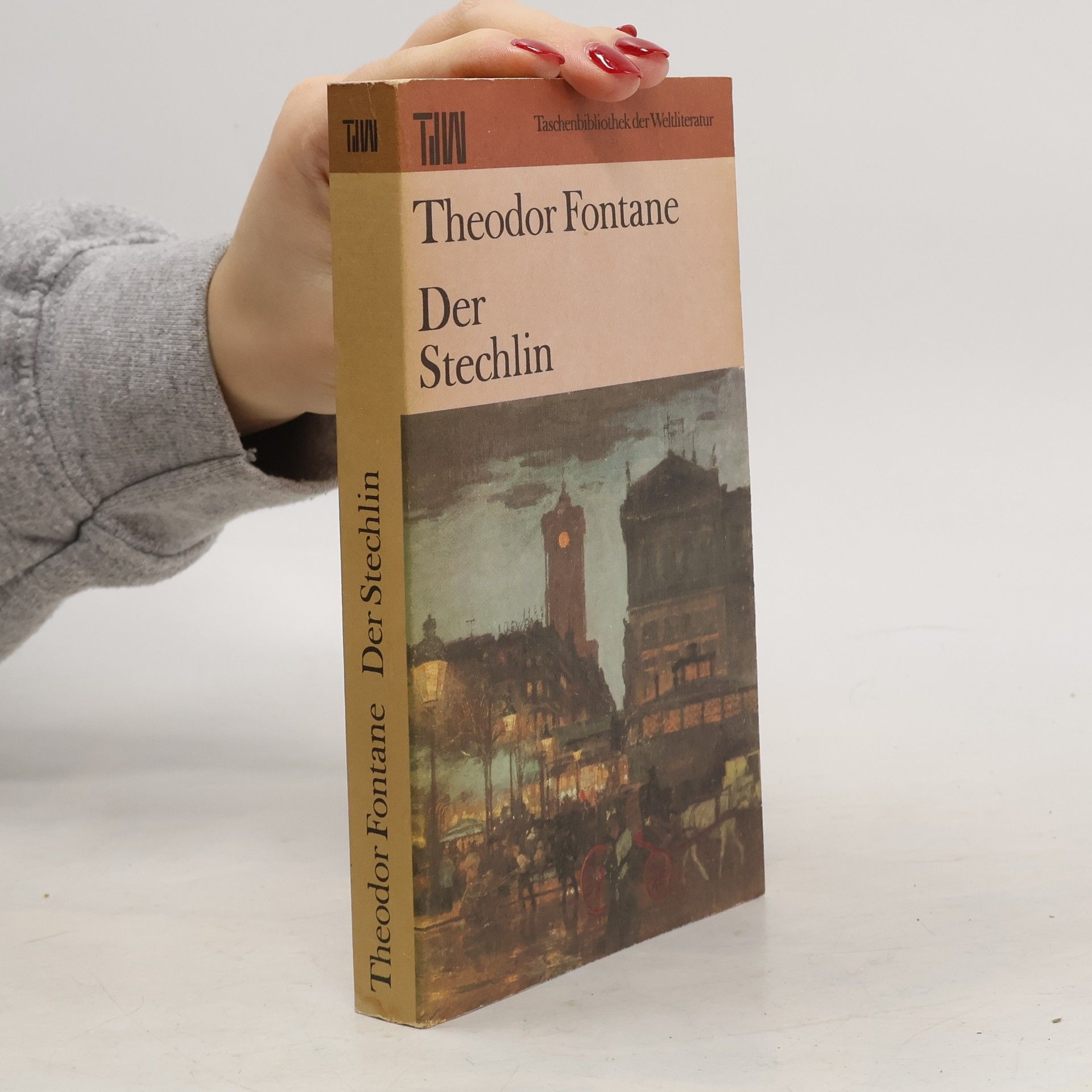 Theodor Fontane Der Stechlin