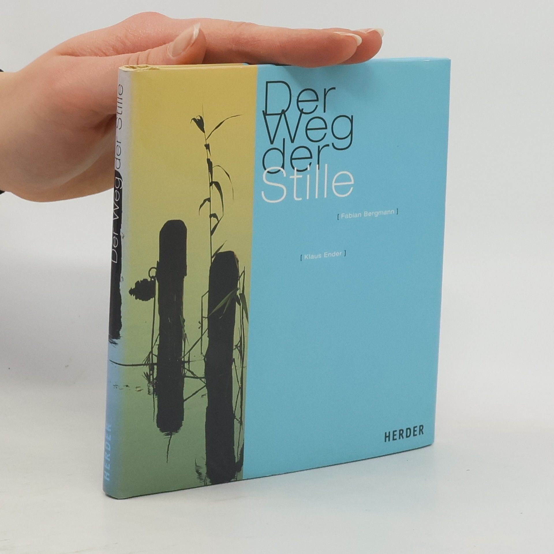 Fabian Bergmann Der Weg der Stille