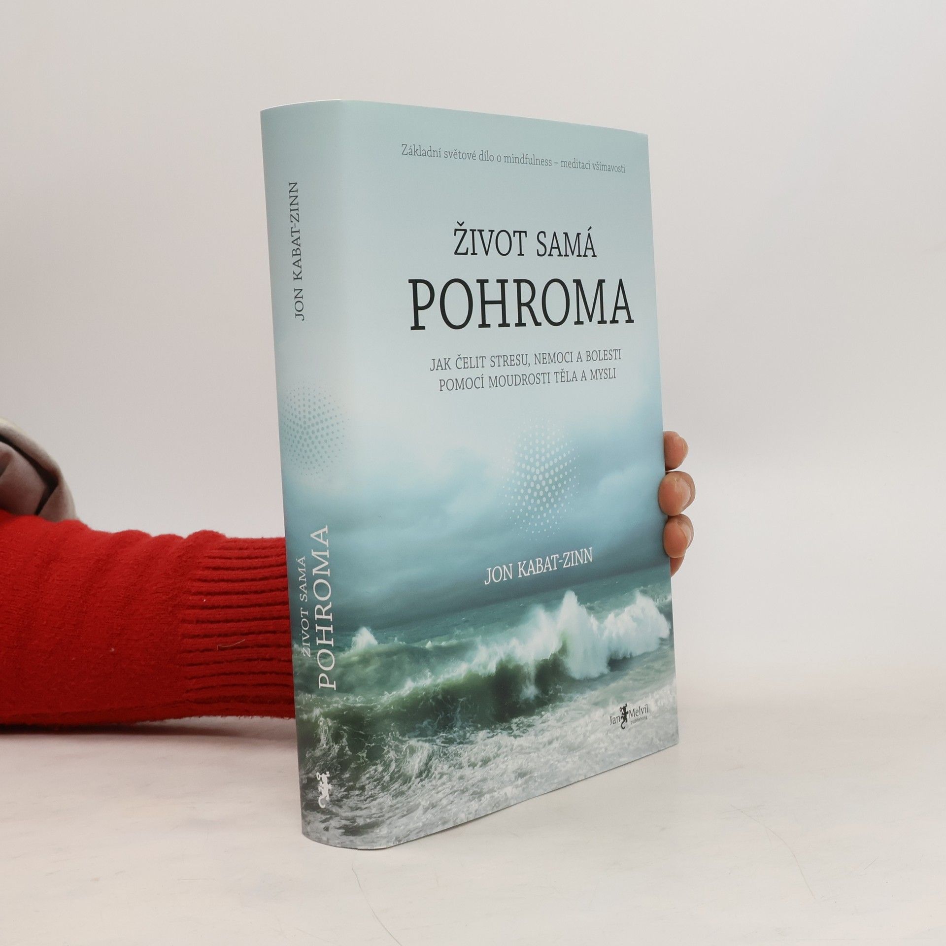 Libor Válek Život samá pohroma