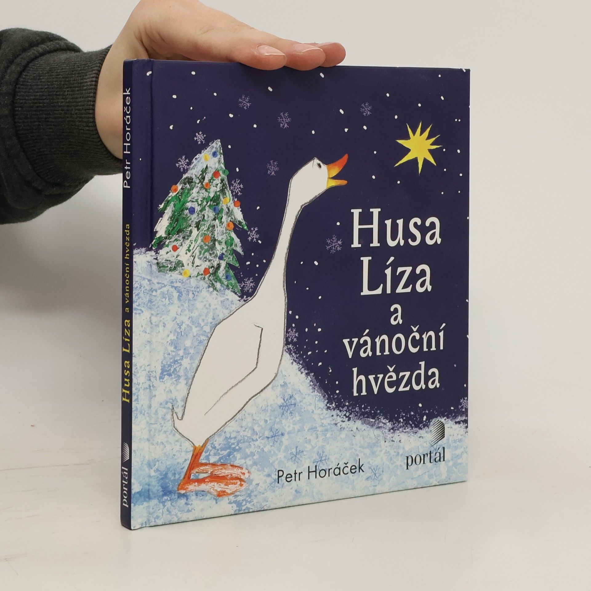 Petr Horáček Husa Líza a vánoční hvězda