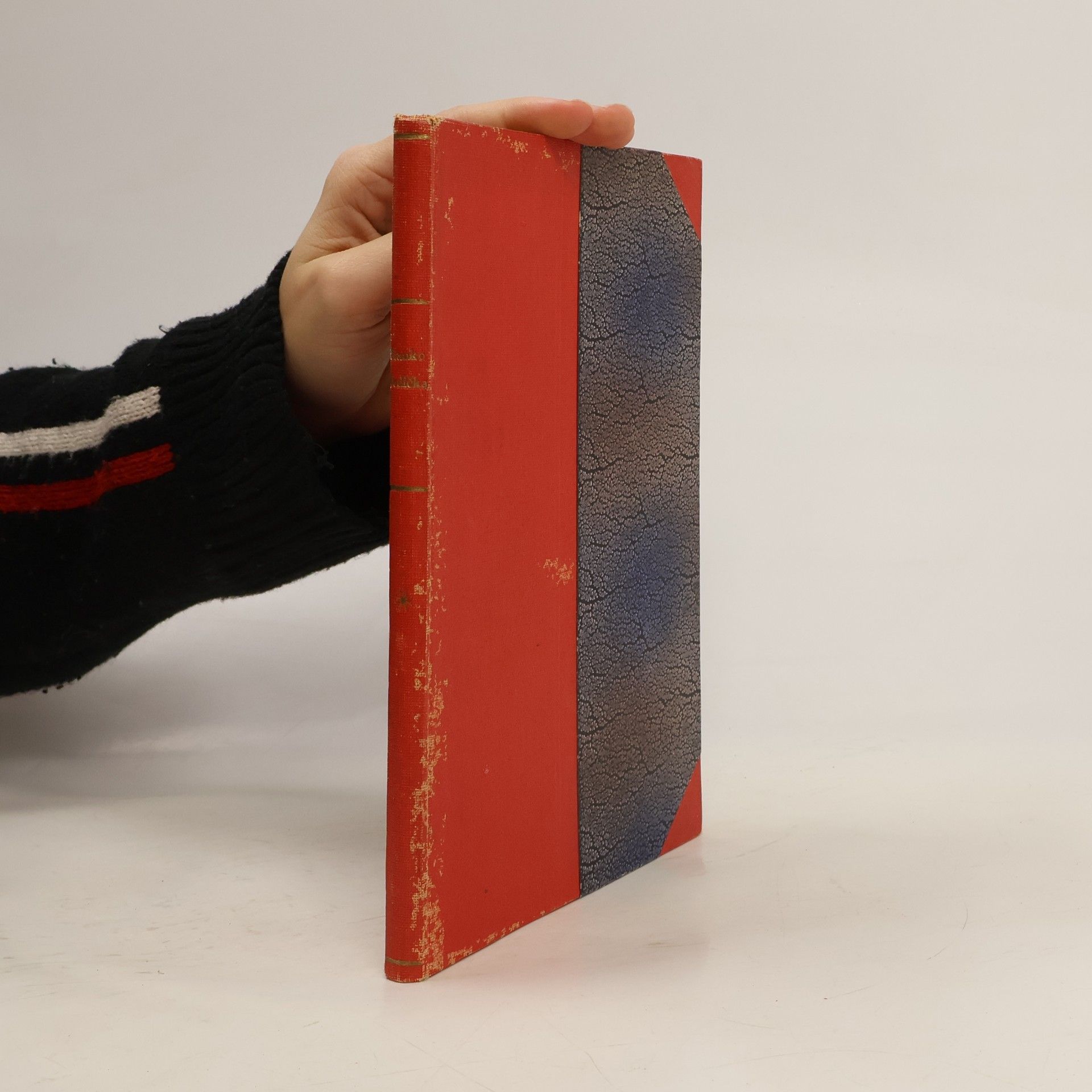 Kolektiv autorů Stanko Vodička, vůdce rumburské vzpoury, květen 1918. 1919