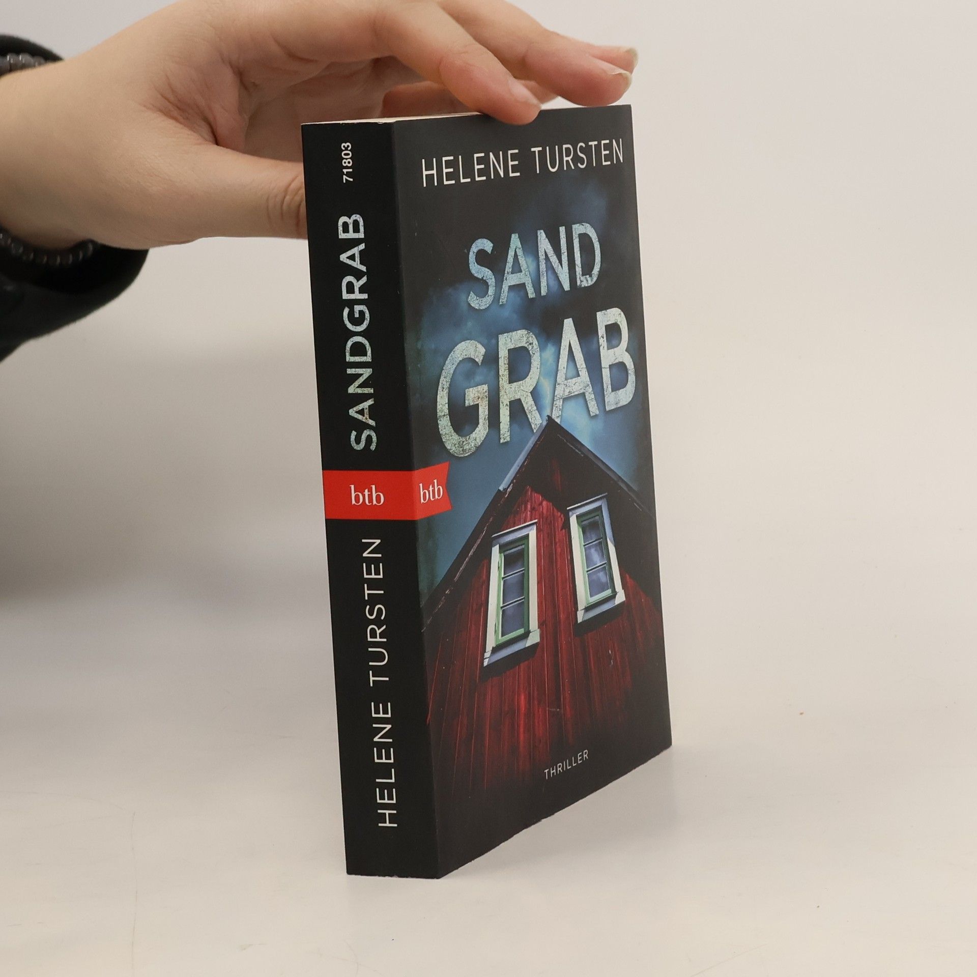 Helene Tursten Sandgrab