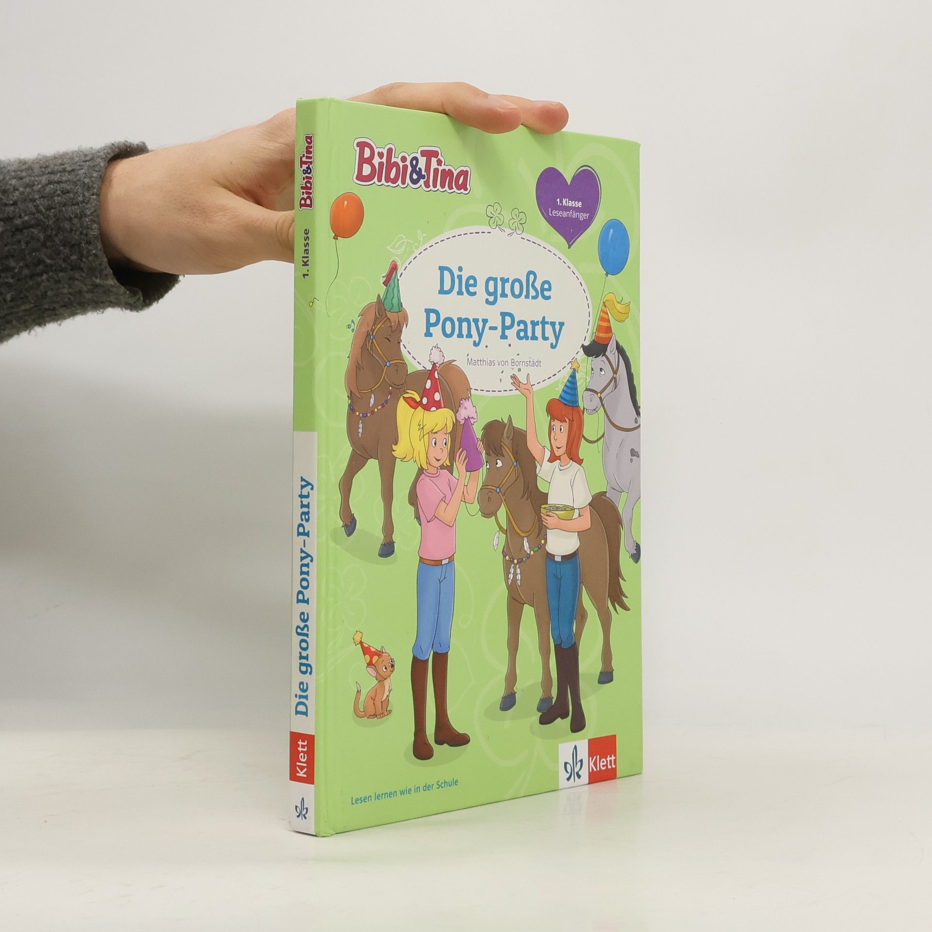 Matthias von Bornstädt Die große Pony-Party